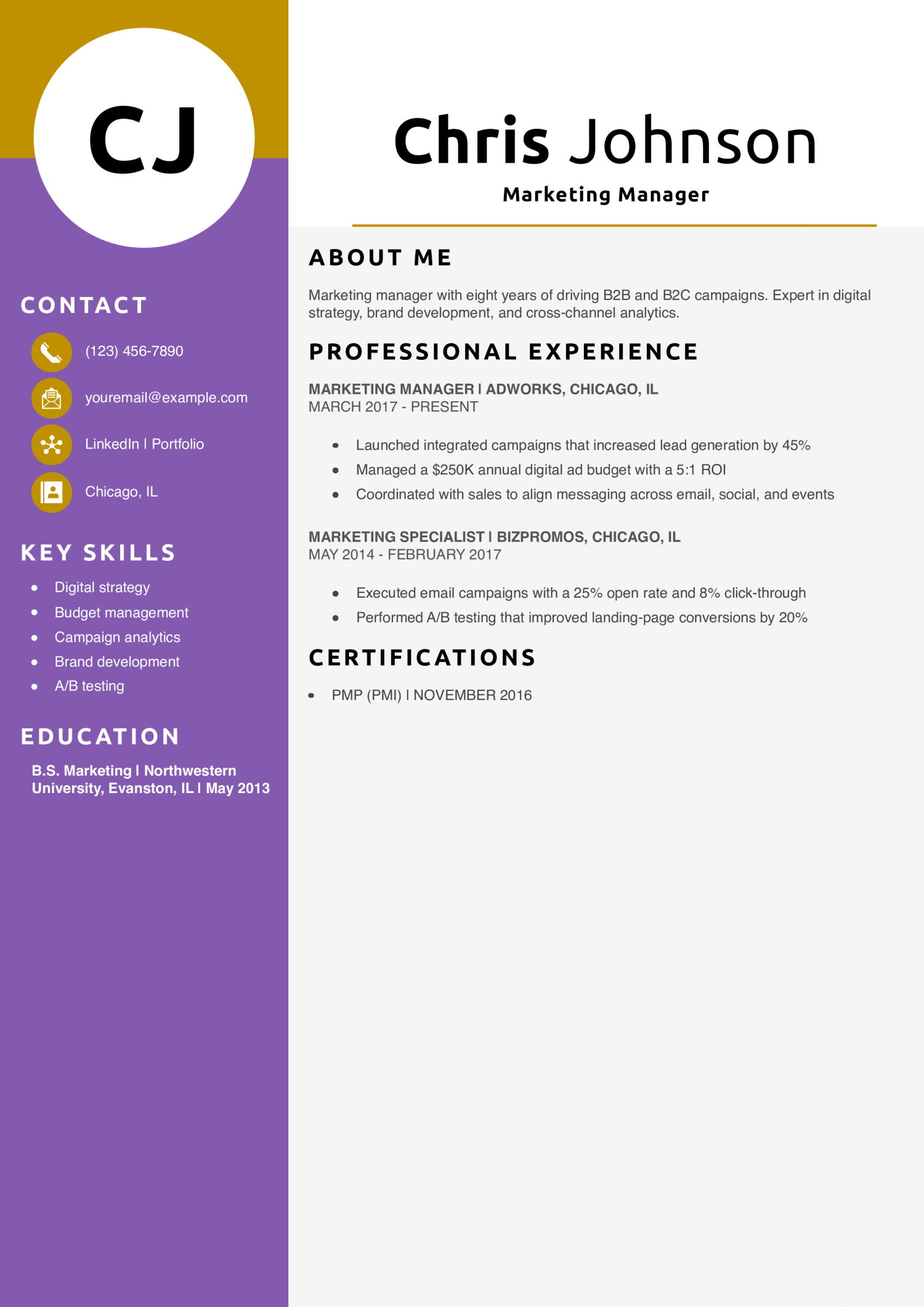 Marketing Manager Resume Example