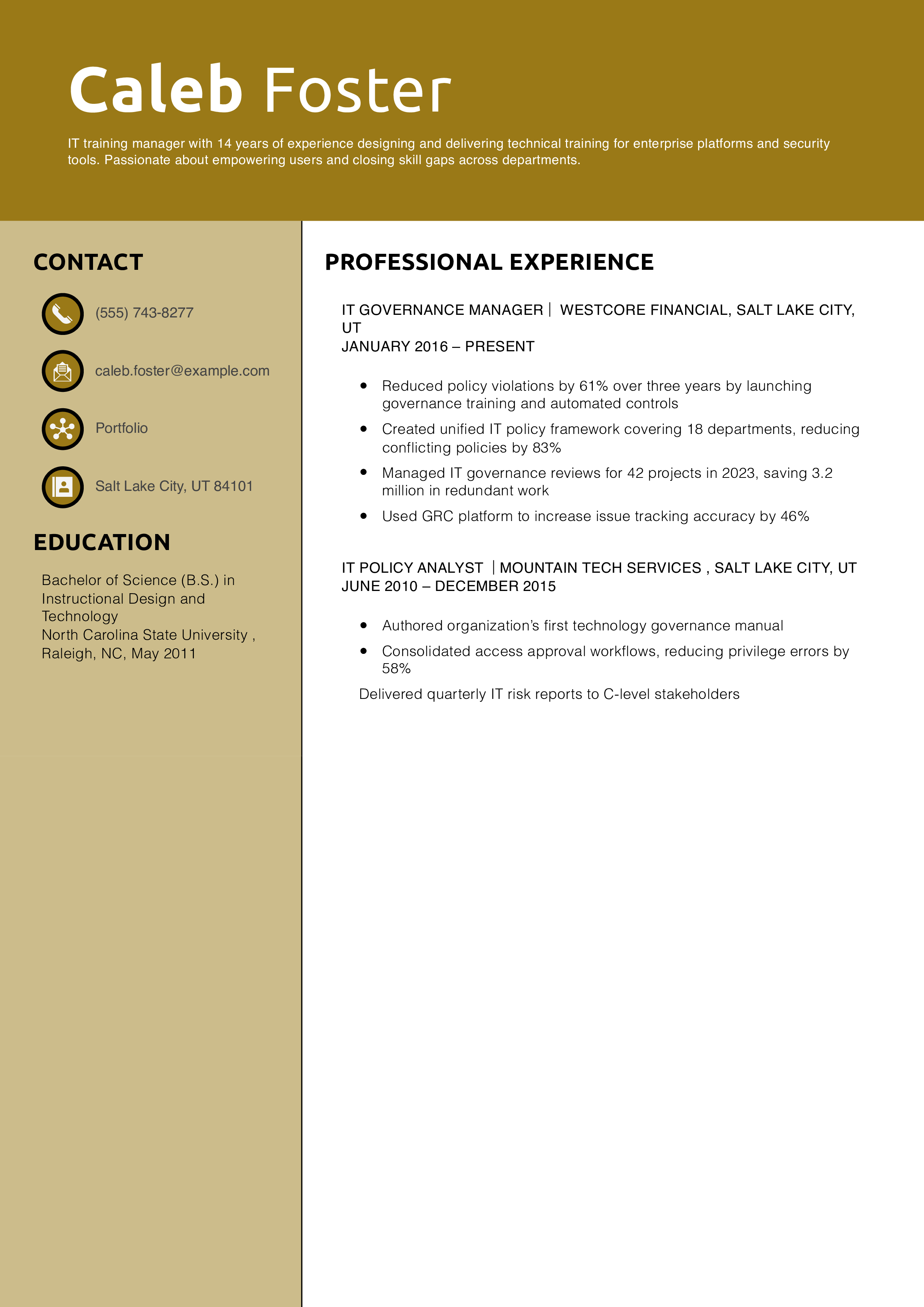 IT Governance Manager Resume Example