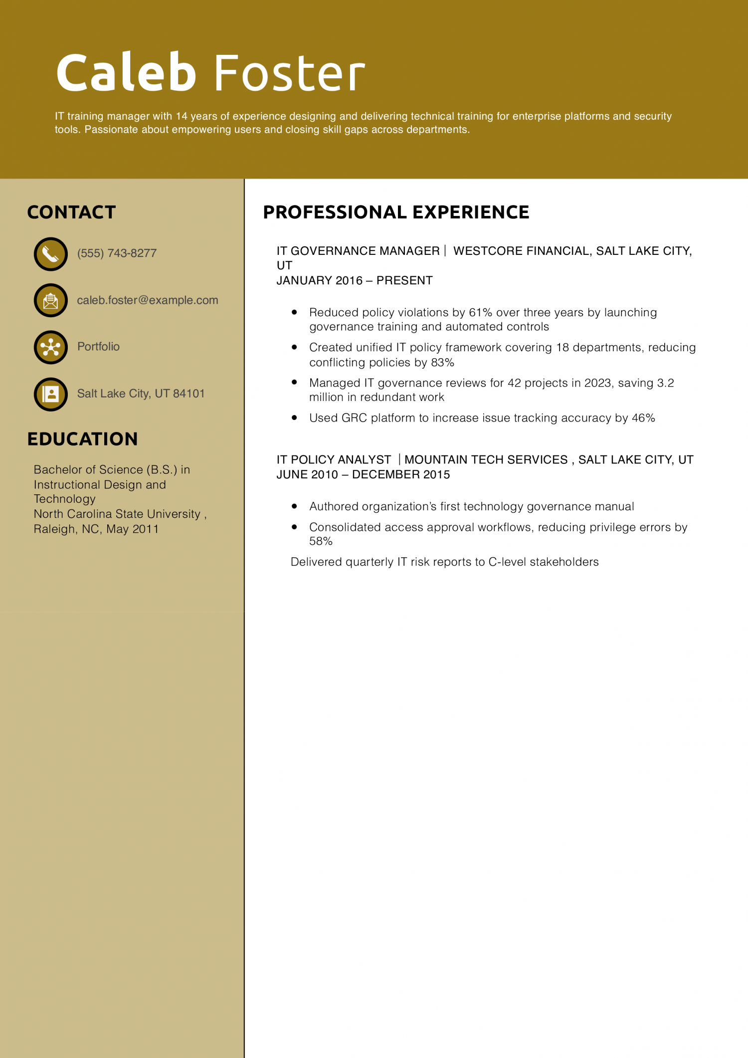 IT Governance Manager Resume Example