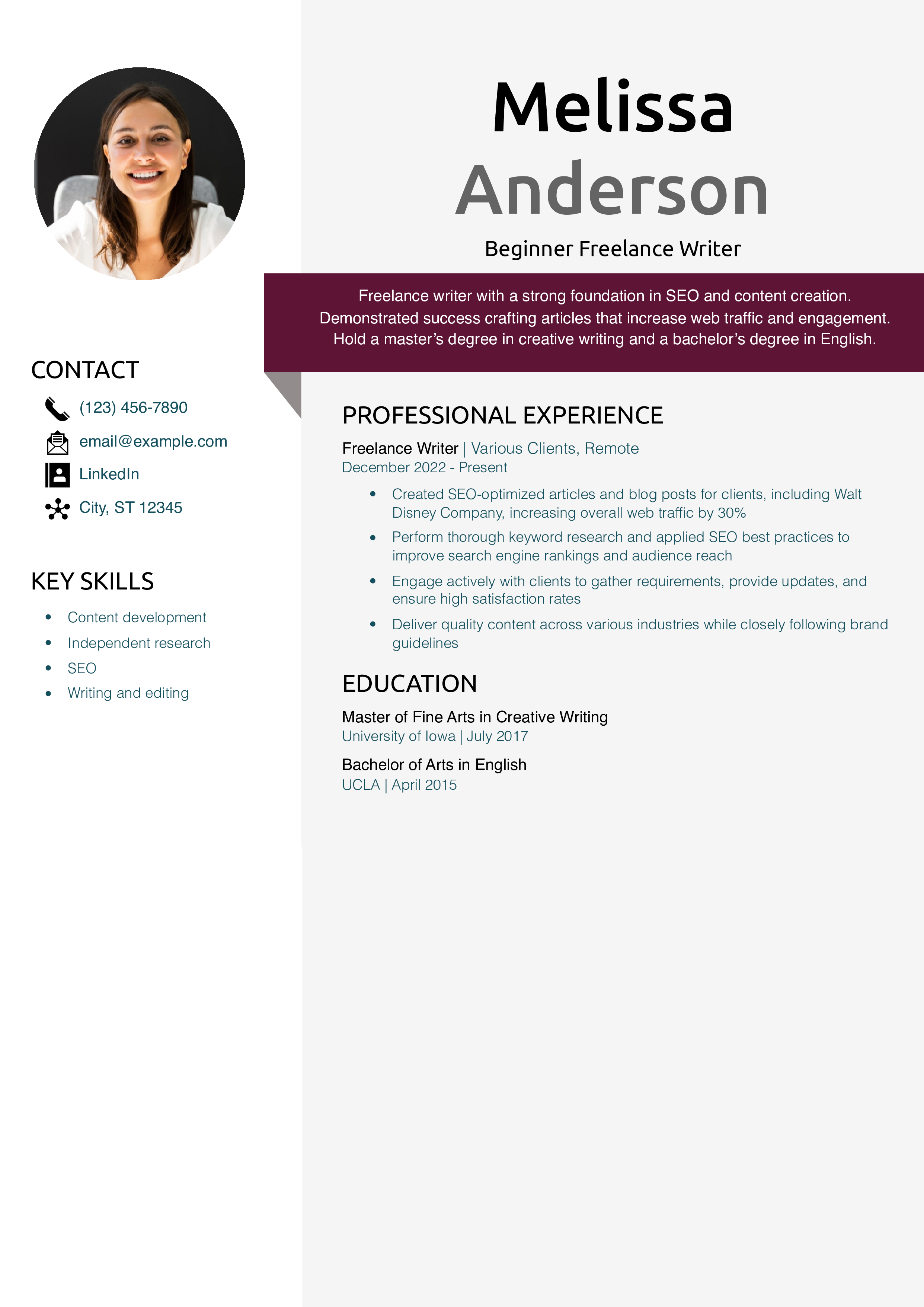 Beginner Freelance Writer Resume Example