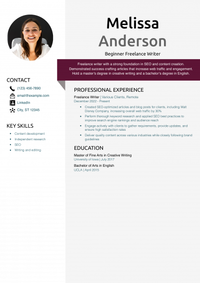 Beginner Freelance Writer Resume Example