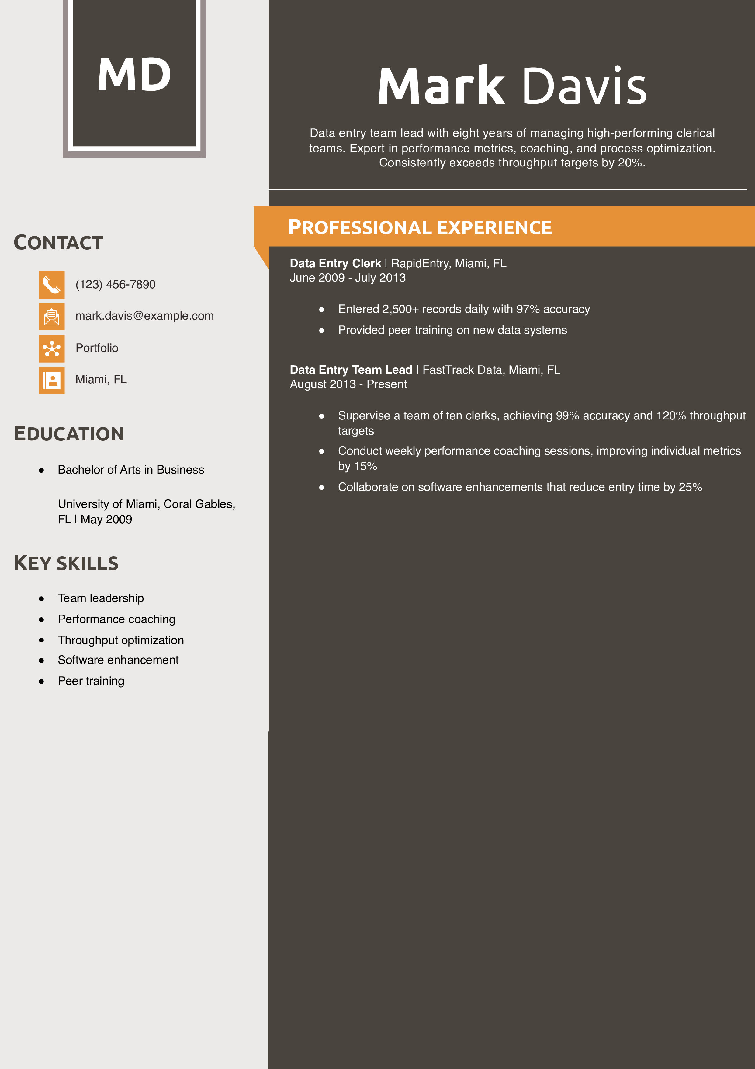 Data Entry Team Lead Resume Example