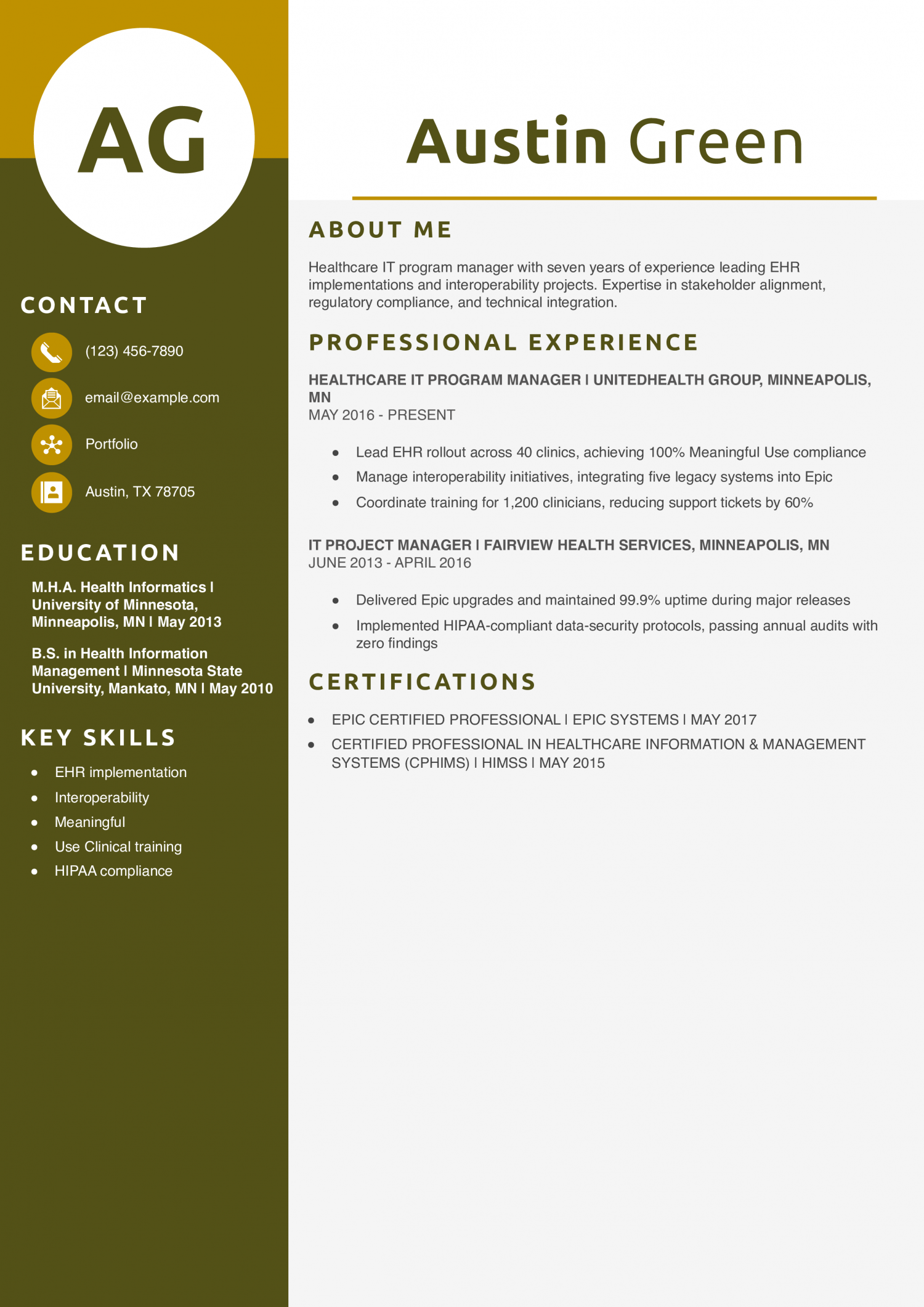 Healthcare IT Program Manager Resume Example