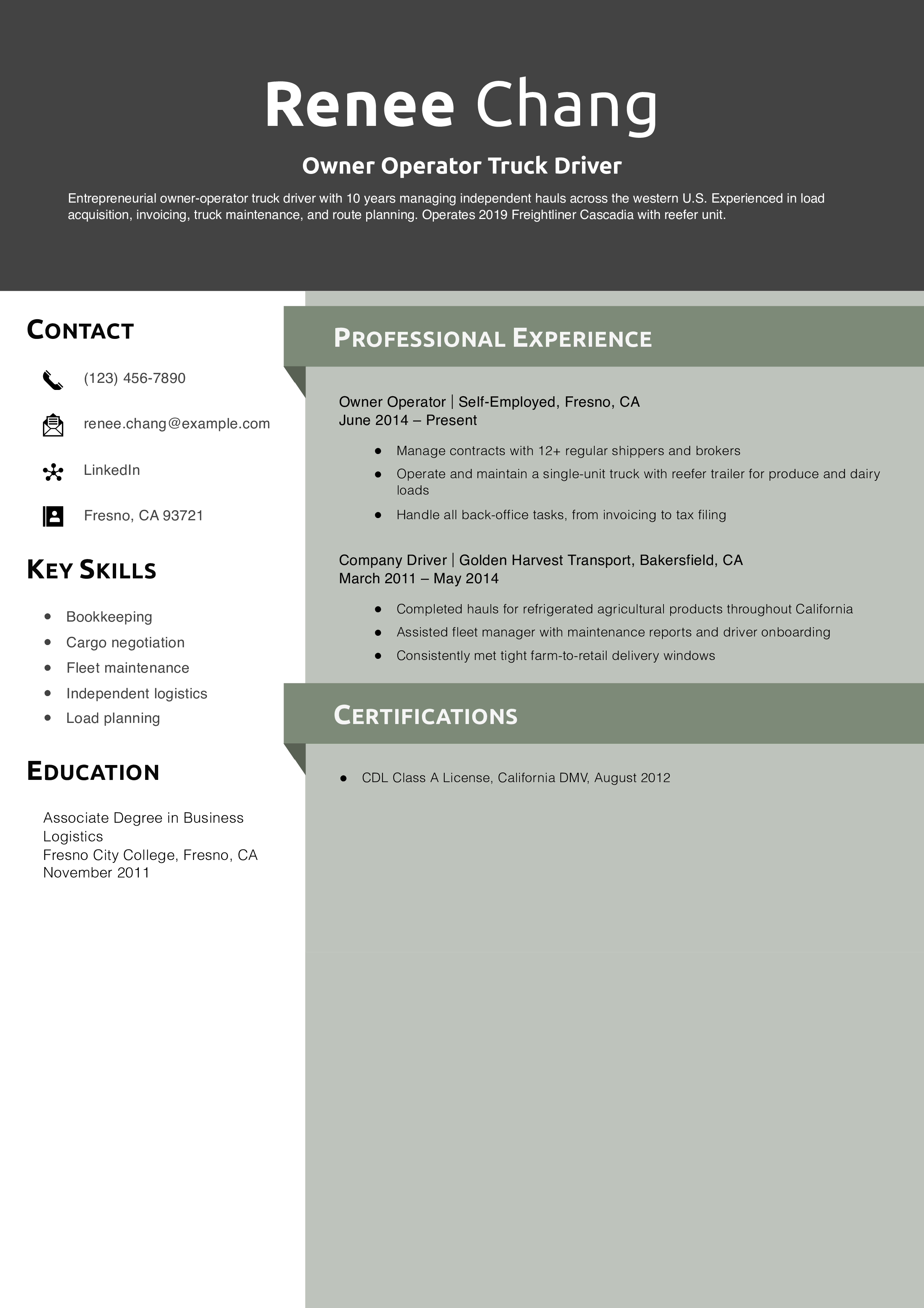 Owner Operator Truck Driver Resume