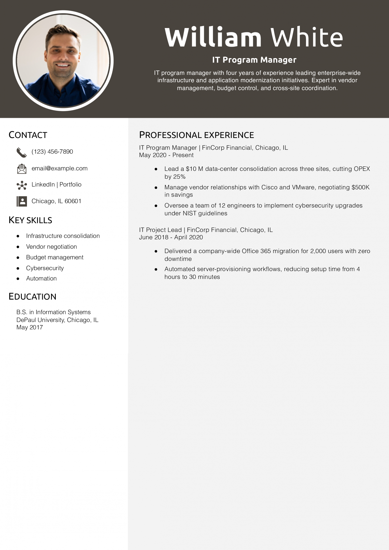 IT Program Manager Resume Example