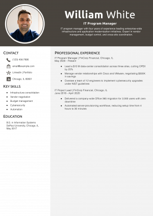 IT Program Manager Resume Example