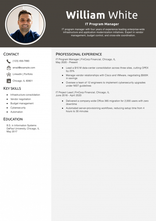 IT Program Manager Resume Example
