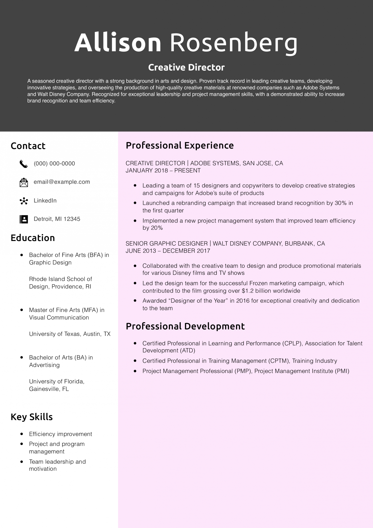 Creative Director Resume Example