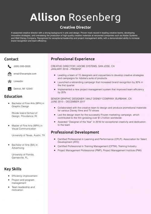 Creative Director Resume Example