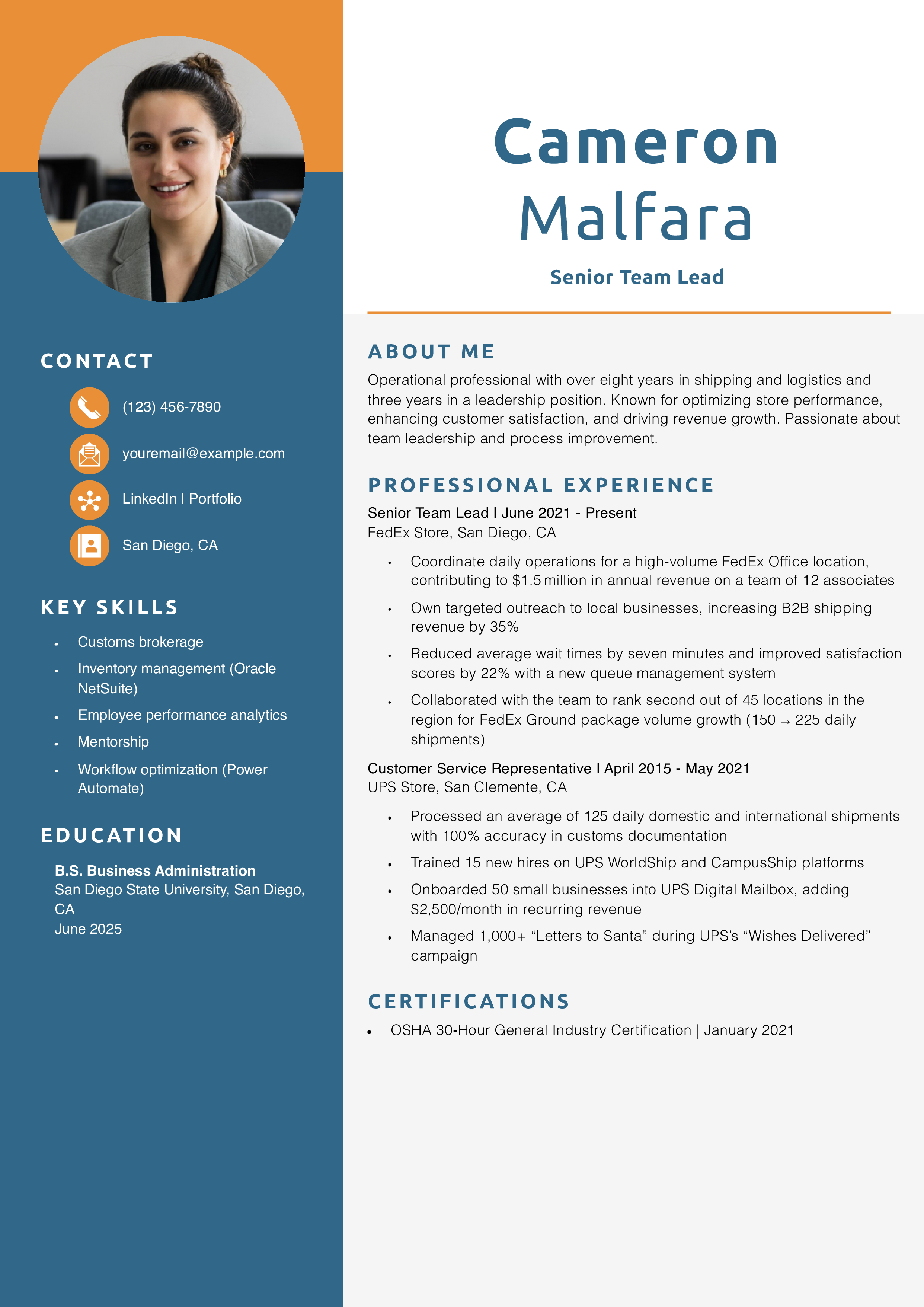 Senior Team Lead Resume Example