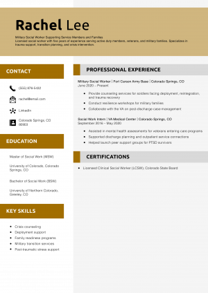 Military Social Worker Resume Example