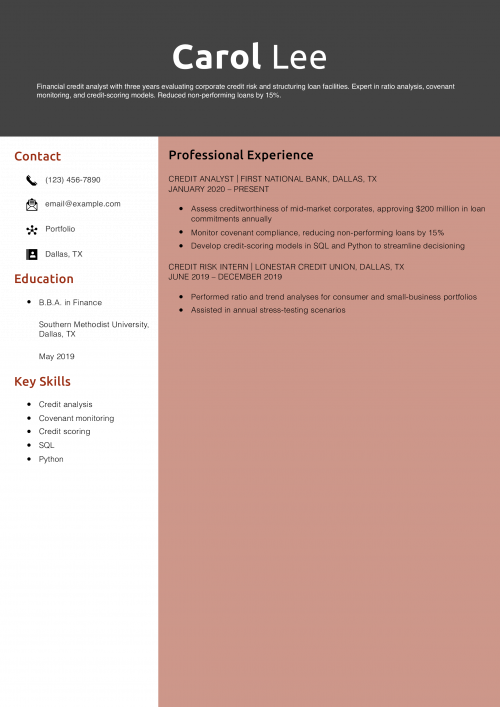 Financial Credit Analyst Resume Example