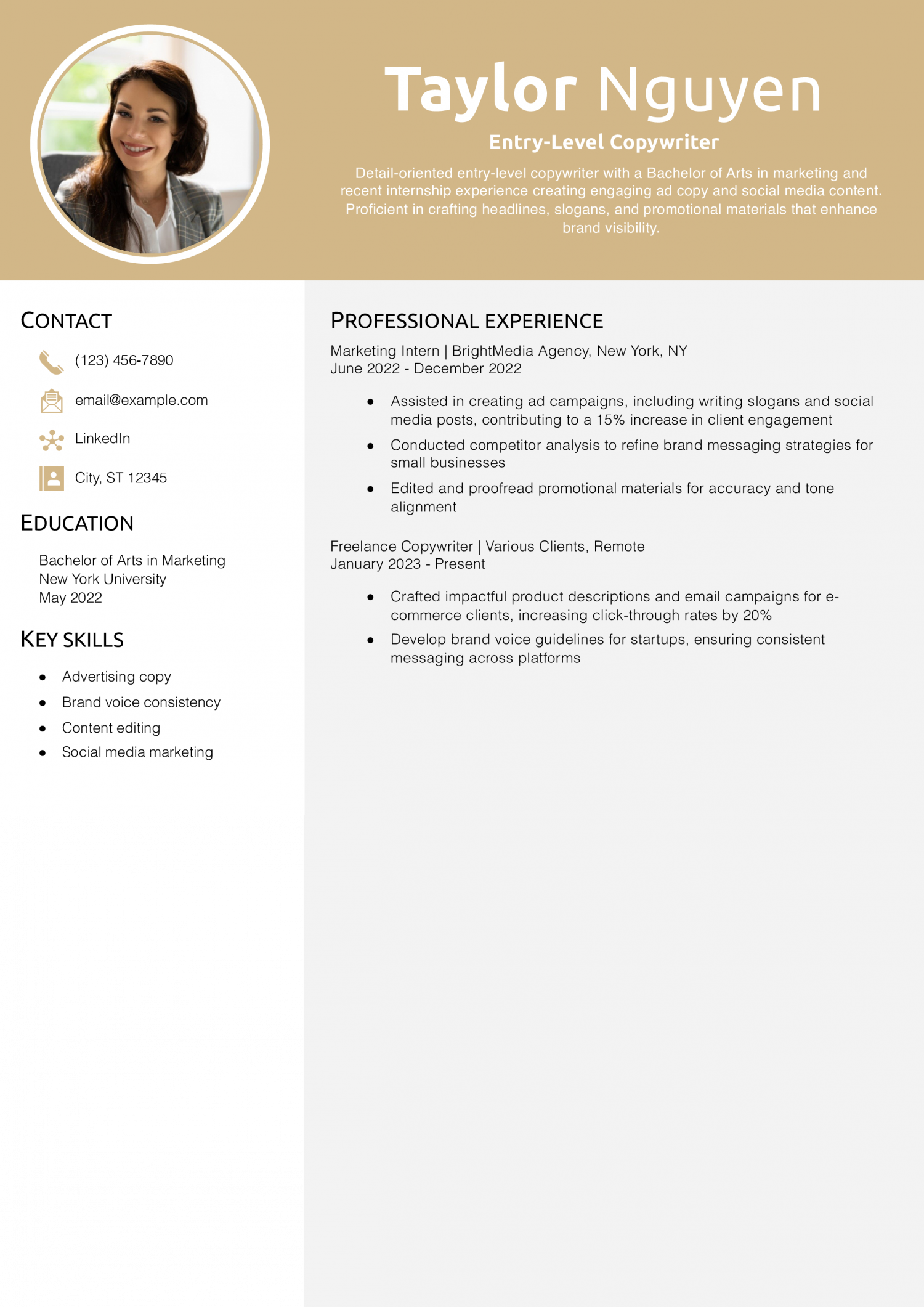 Entry-Level Copywriter Resume Example