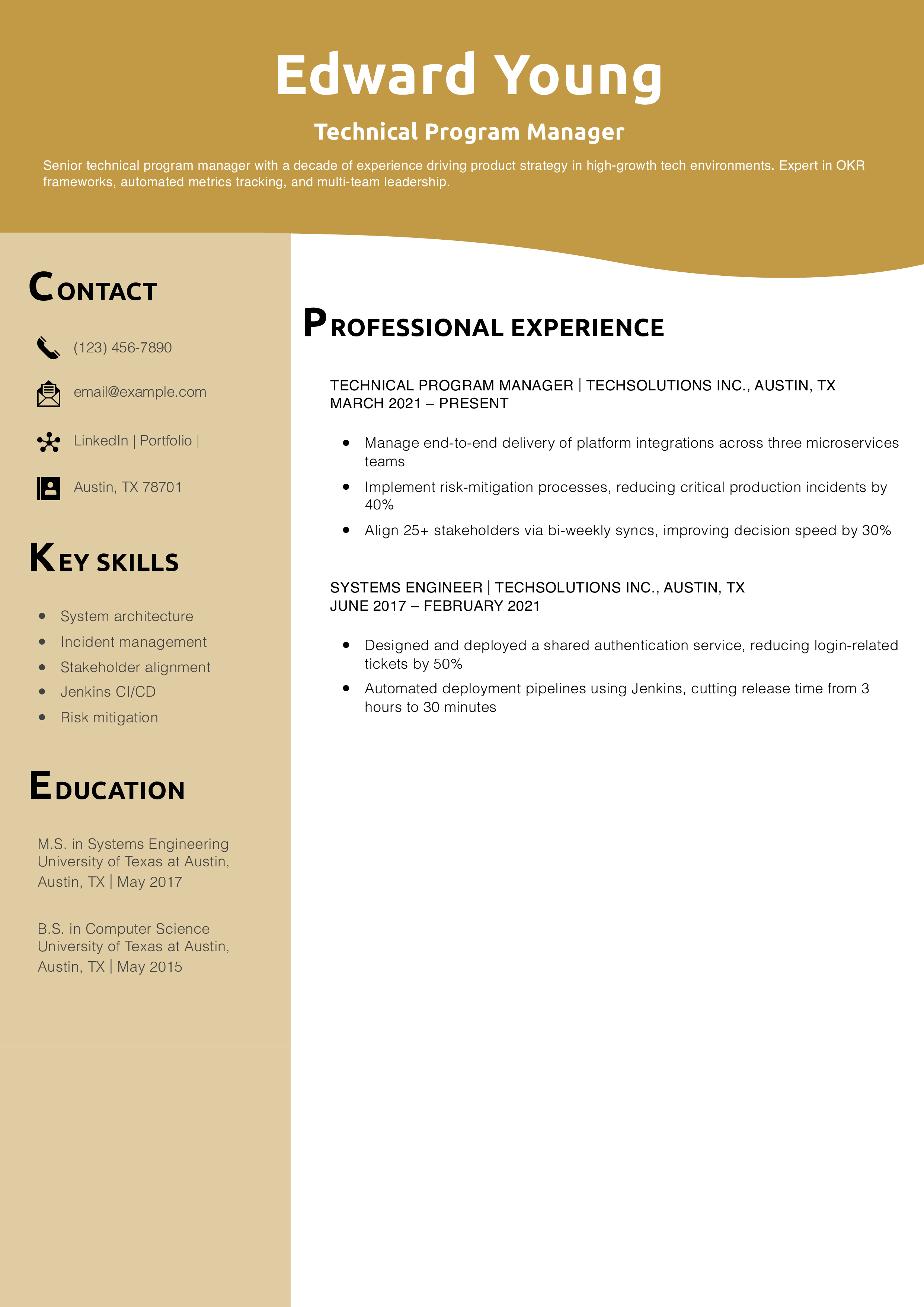 Technical Program Manager Resume Example