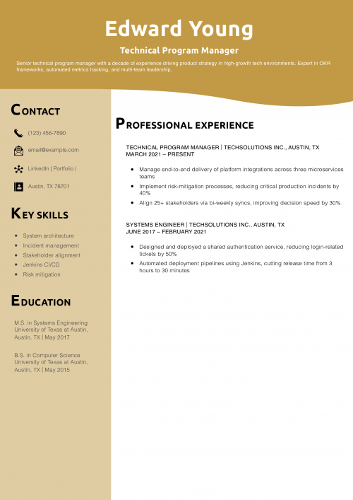 Technical Program Manager Resume Example