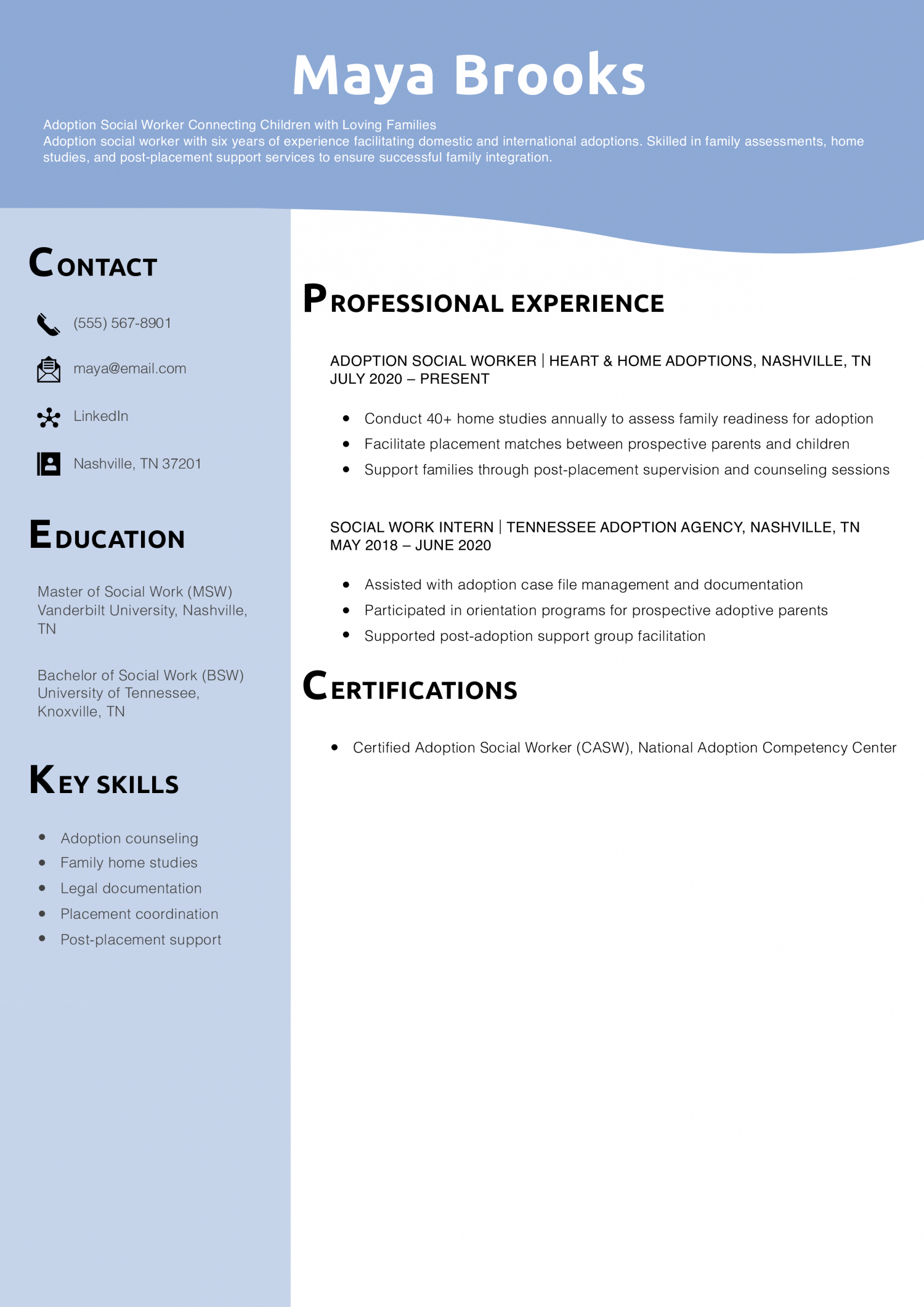 Adoption Social Worker Resume Example