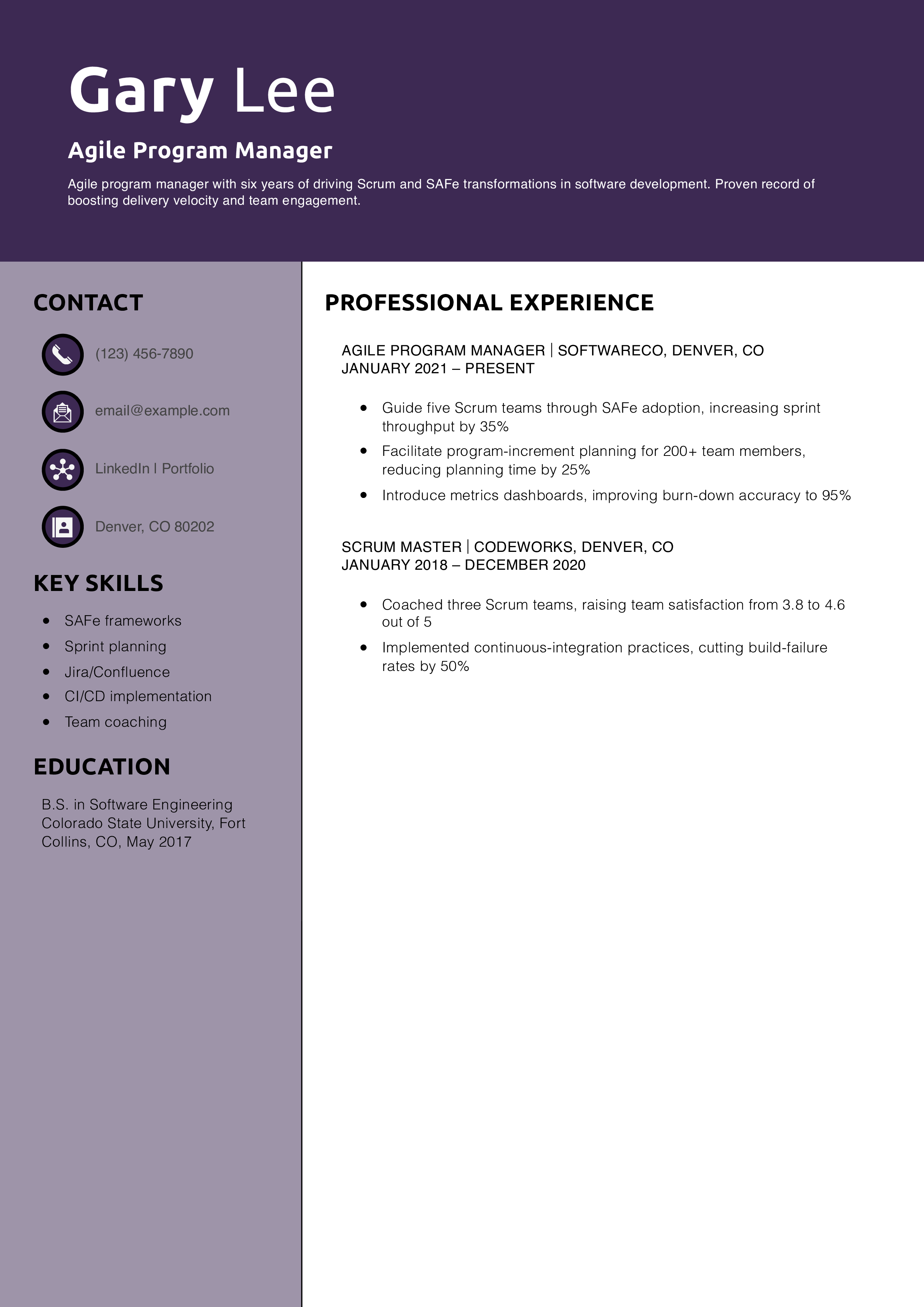 Agile Program Manager Resume Example