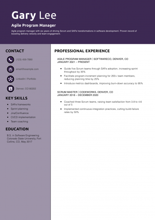 Agile Program Manager Resume Example