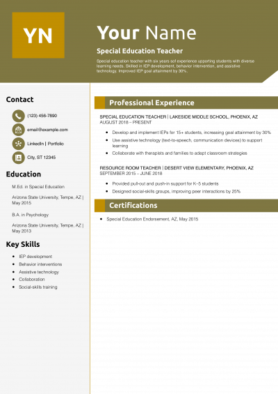 Special Education Teacher Resume Example