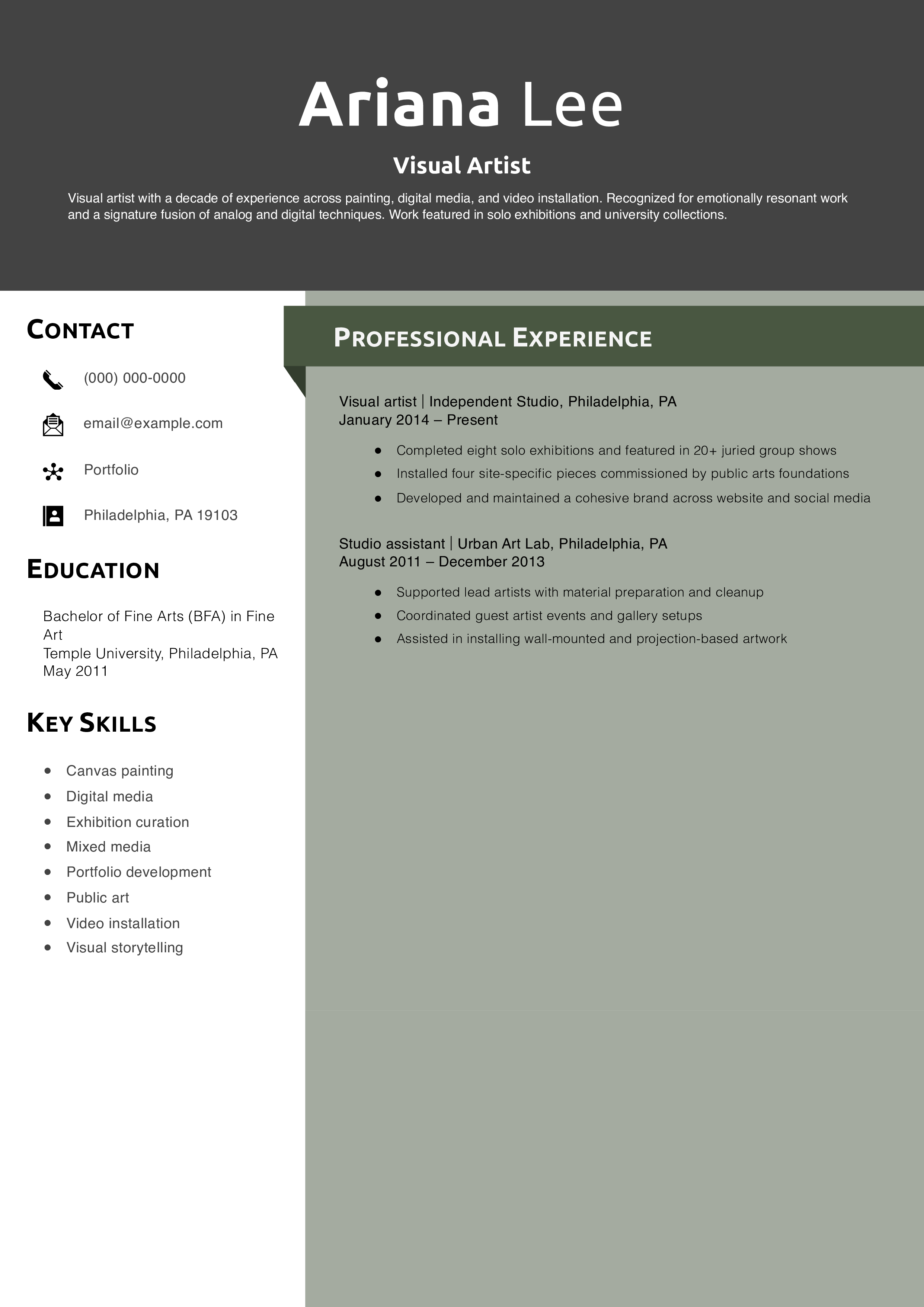 Visual Artist Resume Example