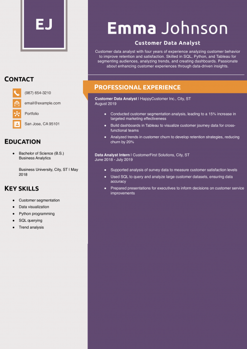 Customer Data Analyst Resume Example