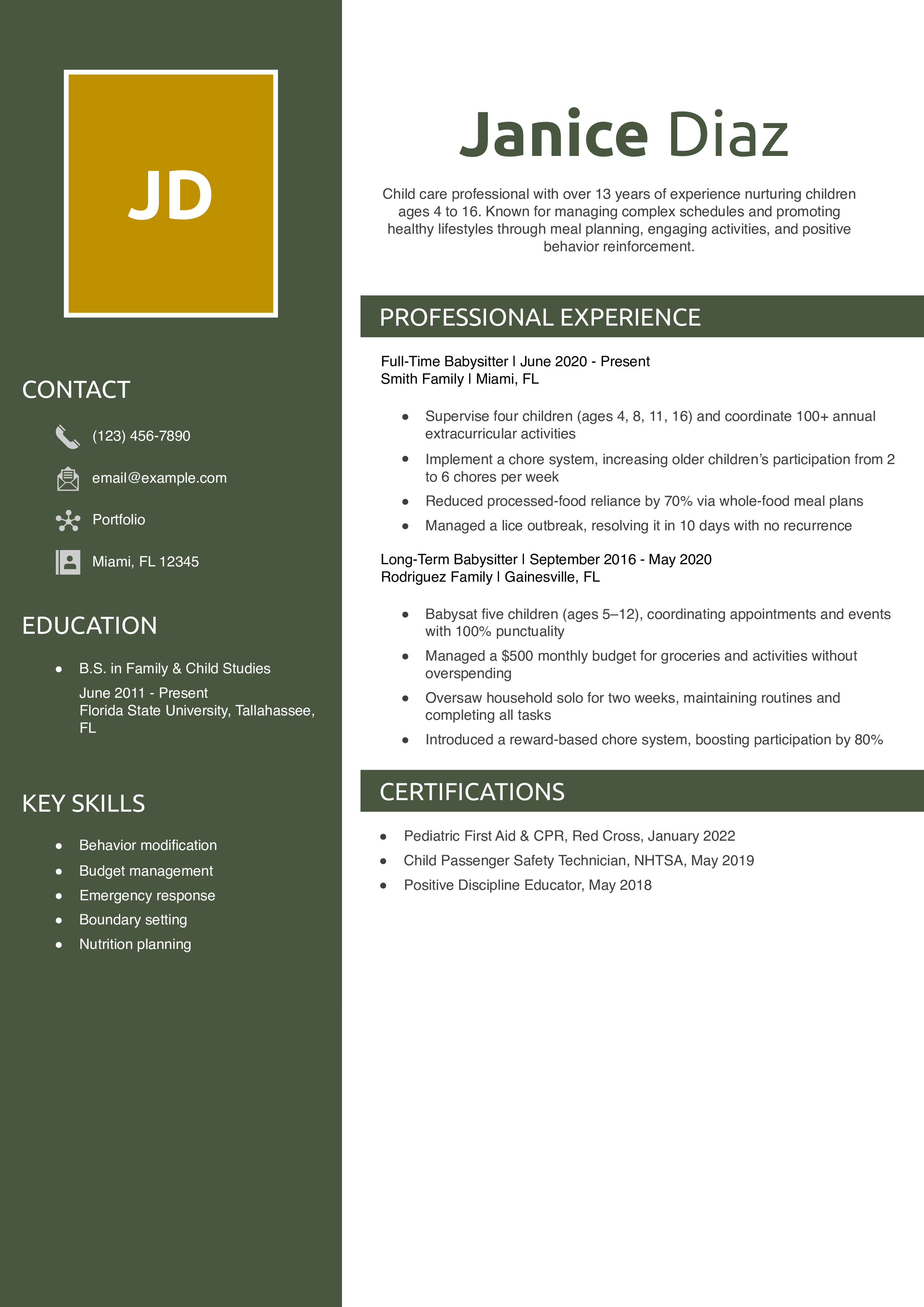 Long-Time Child Care Professional Resume Example