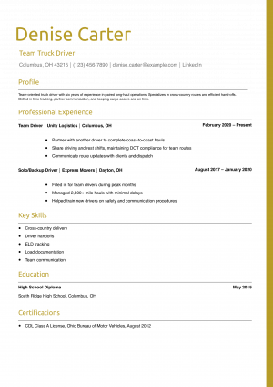 Team Truck Driver Resume