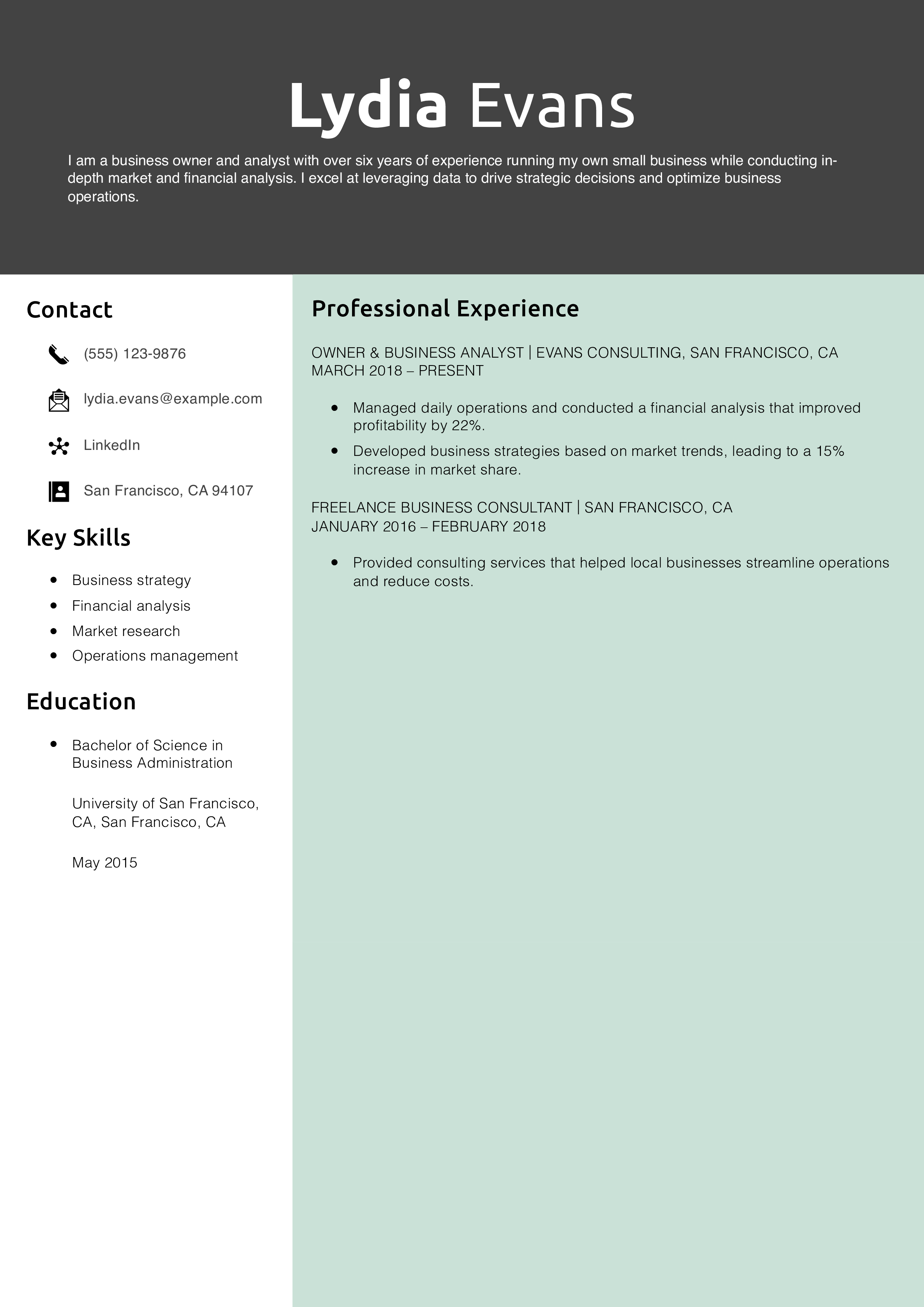 Business Owner & Analyst Resume Example