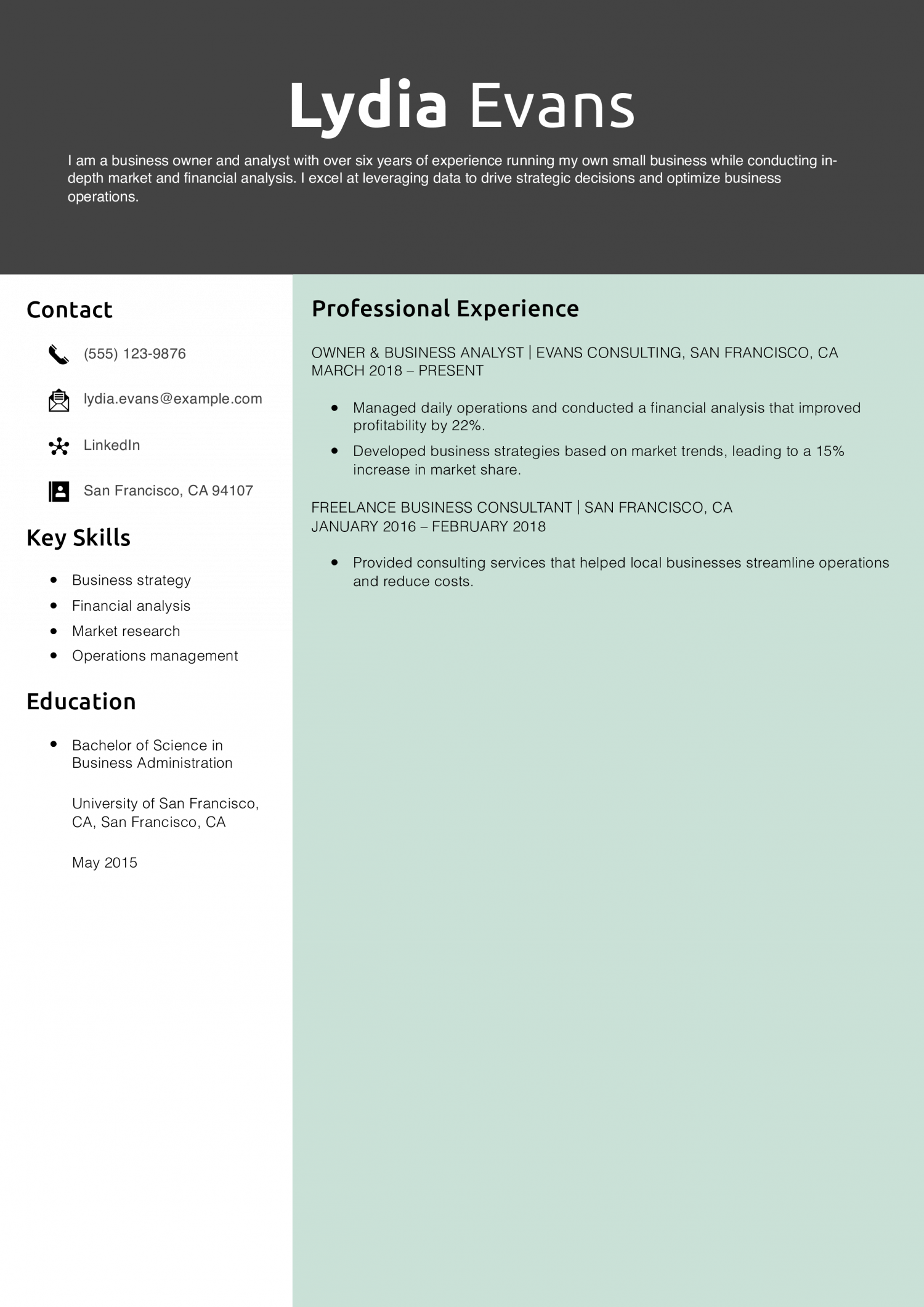 Business Owner & Analyst Resume Example
