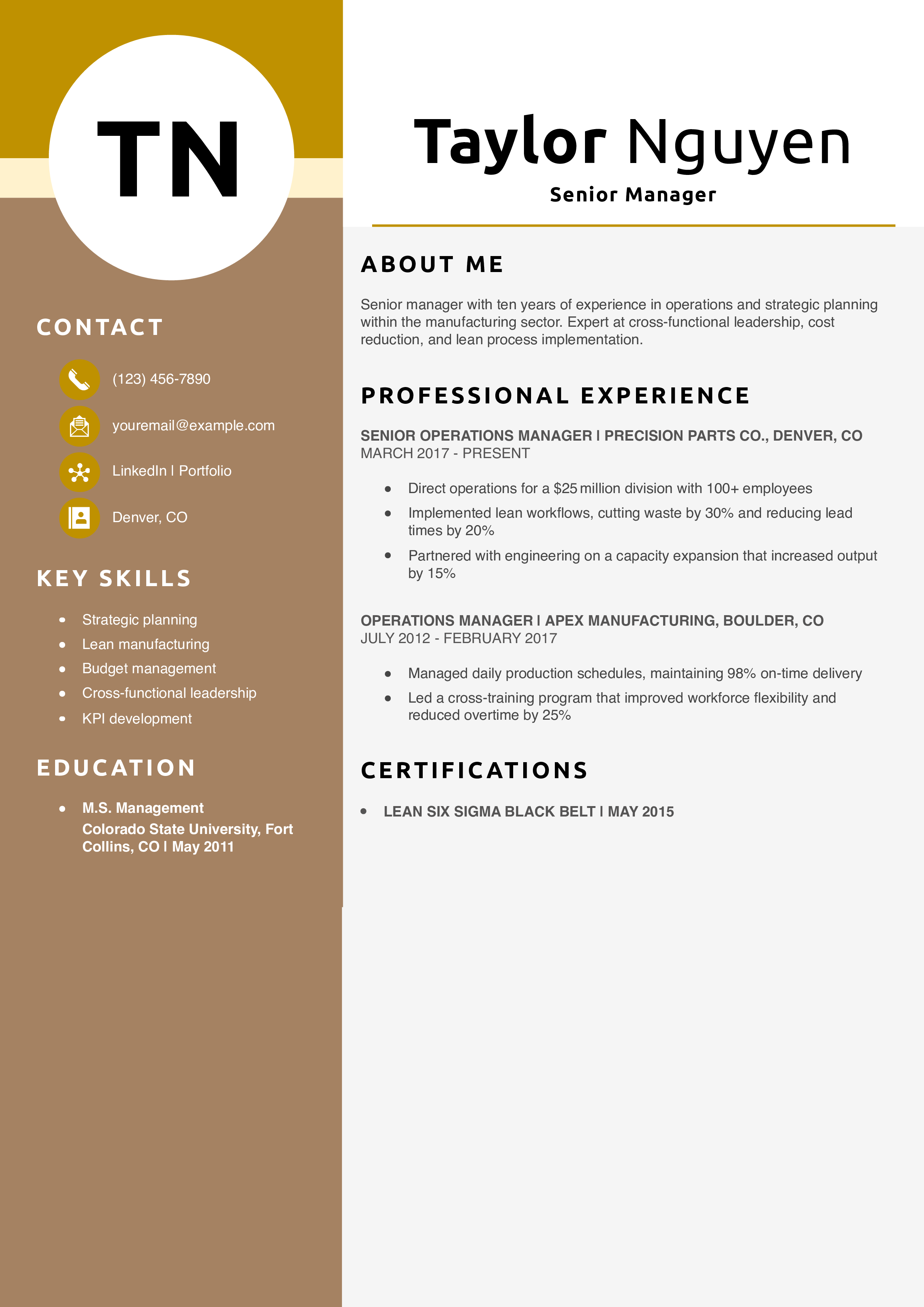 Senior Manager Resume Example