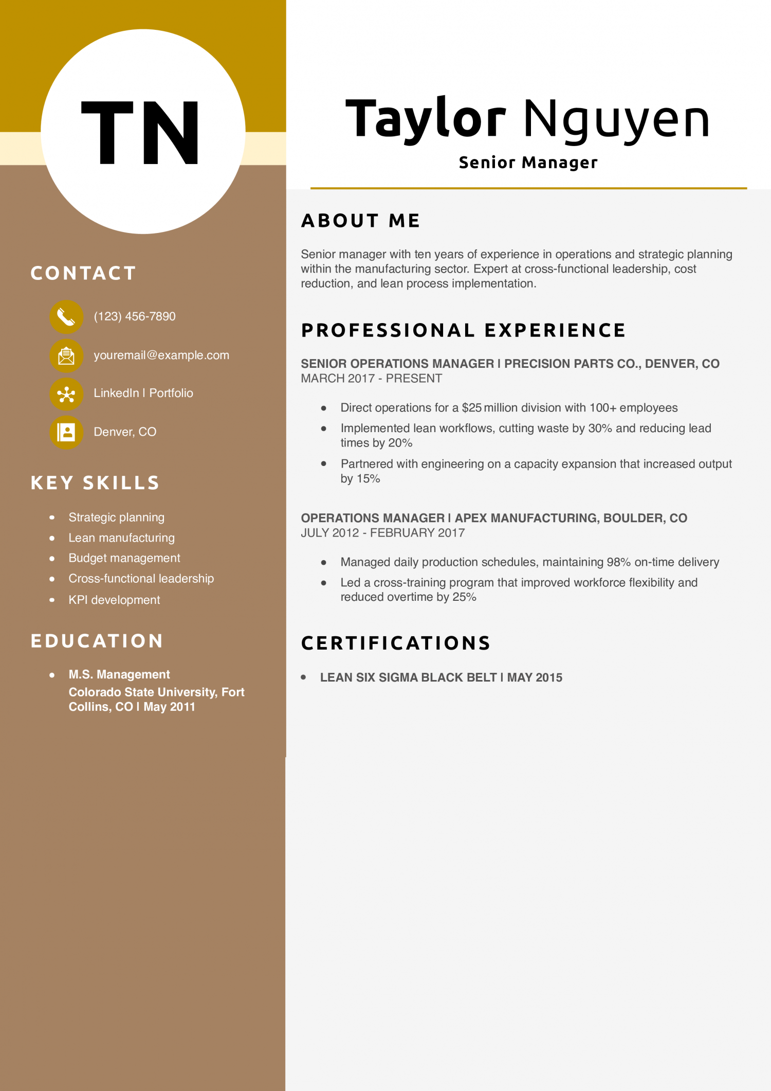 Senior Manager Resume Example