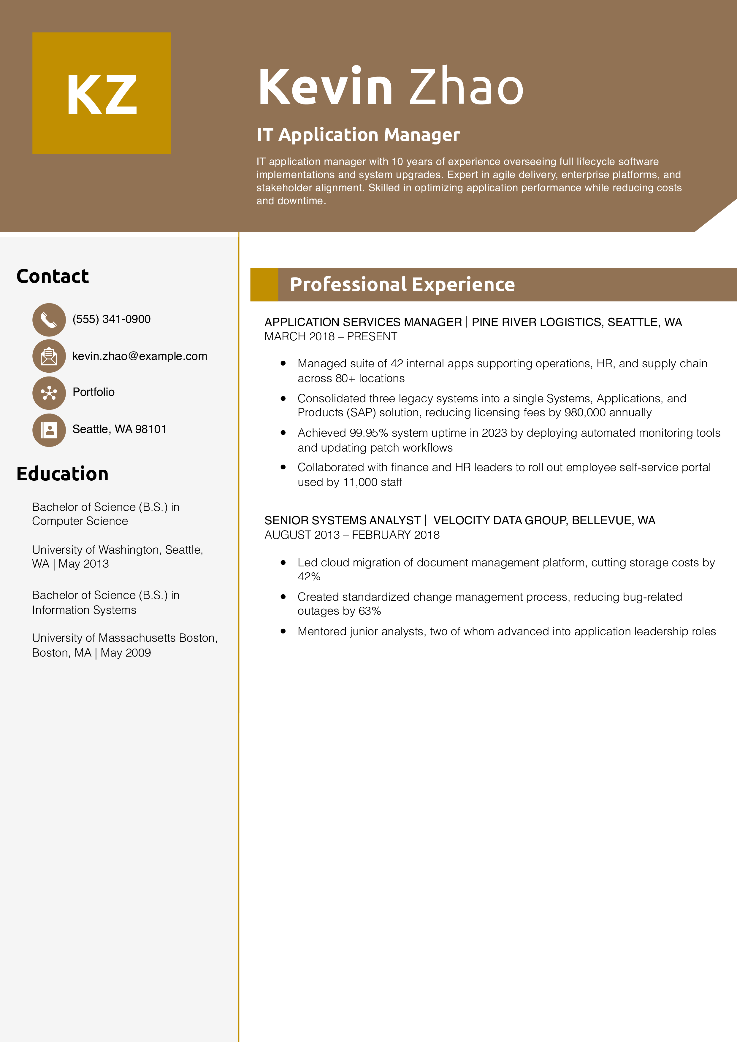 IT Application Manager Resume Example