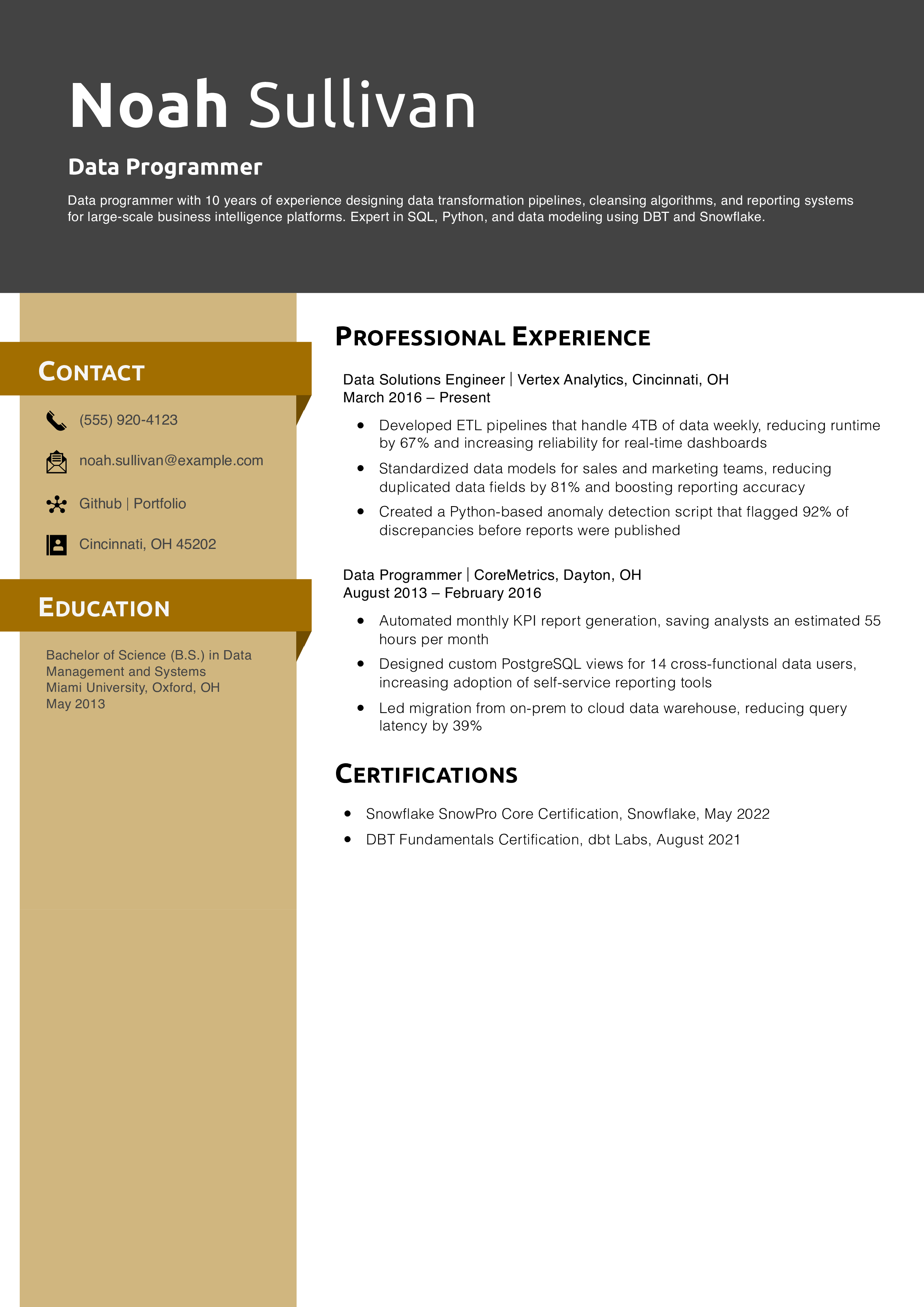 Data Programmer Resume Example