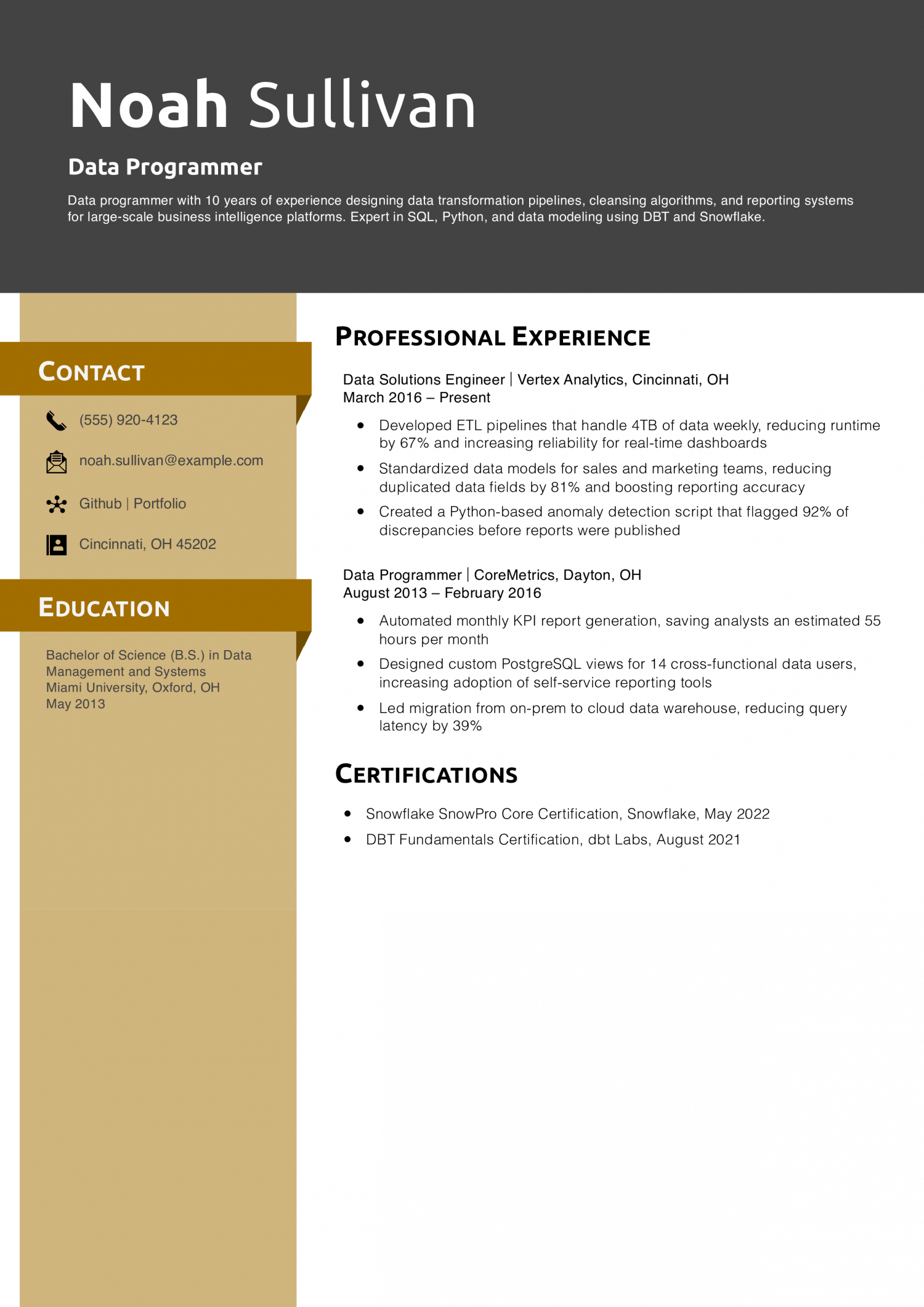 Data Programmer Resume Example
