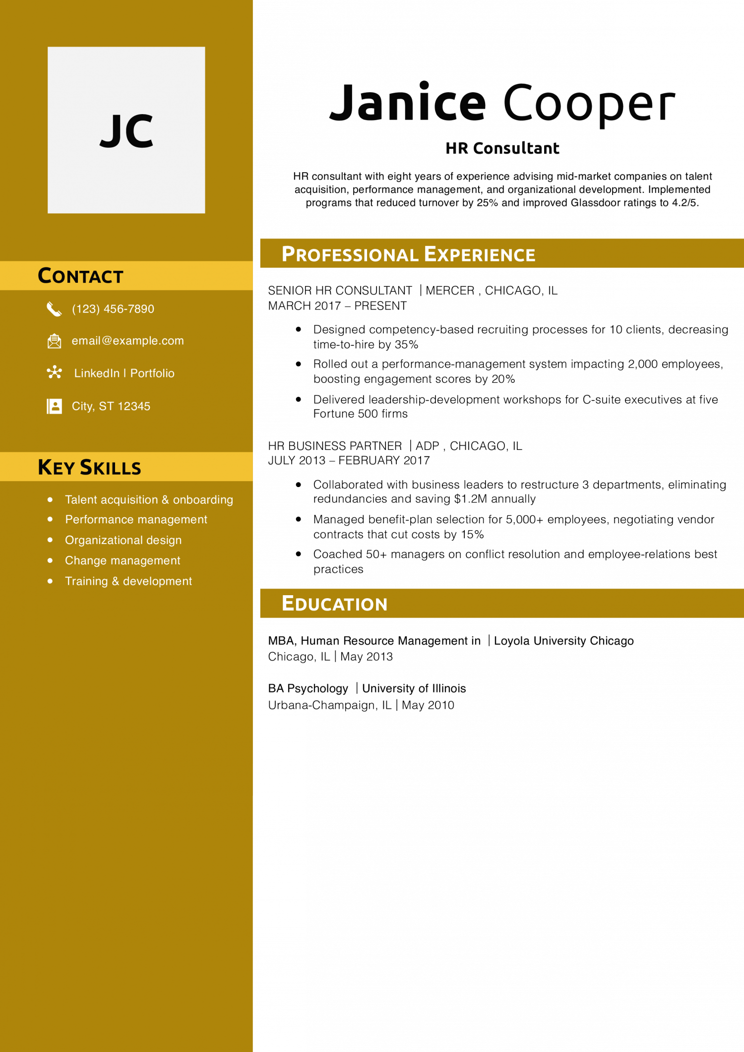 HR Consultant Resume Example