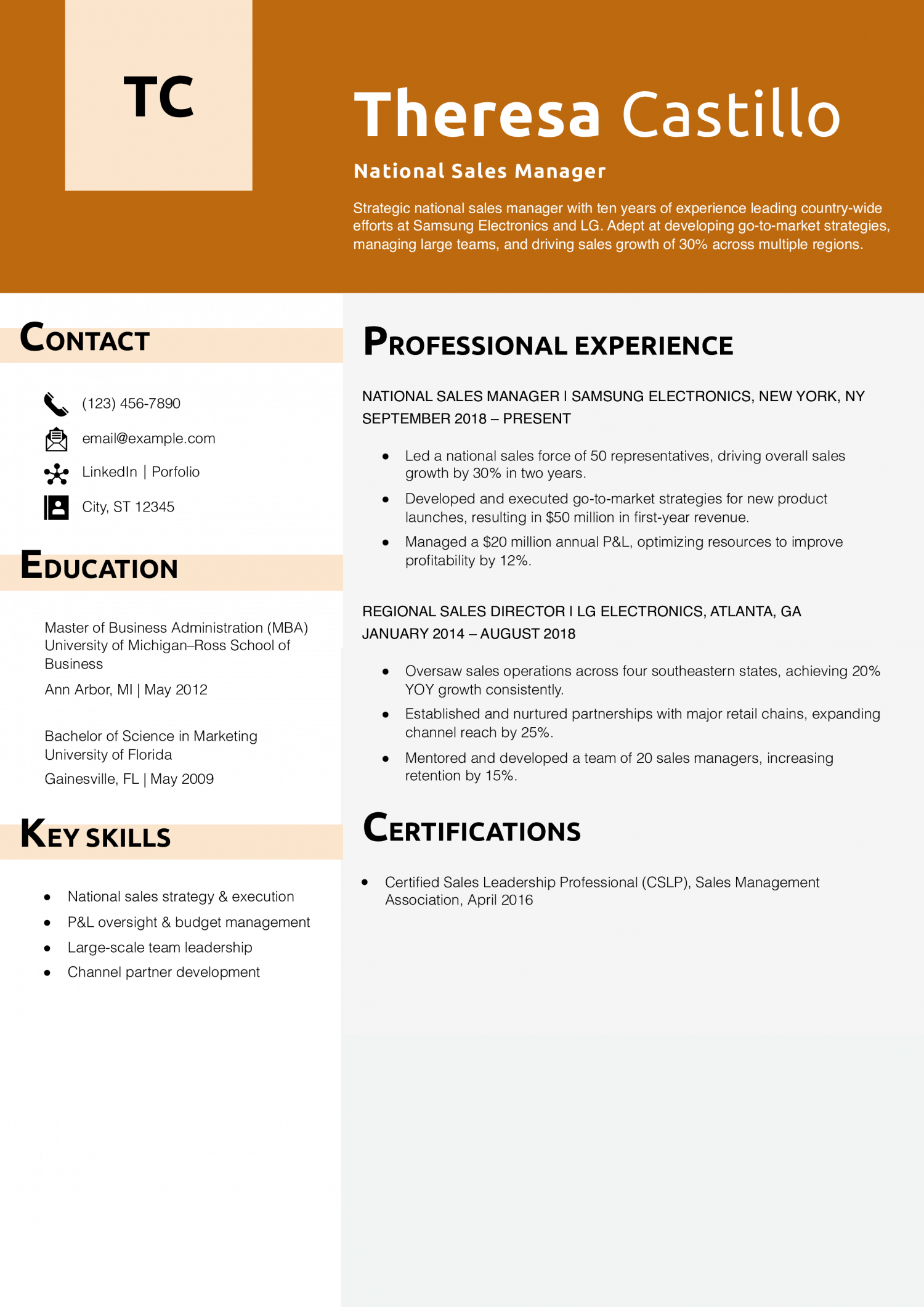 National Sales Manager Resume Example