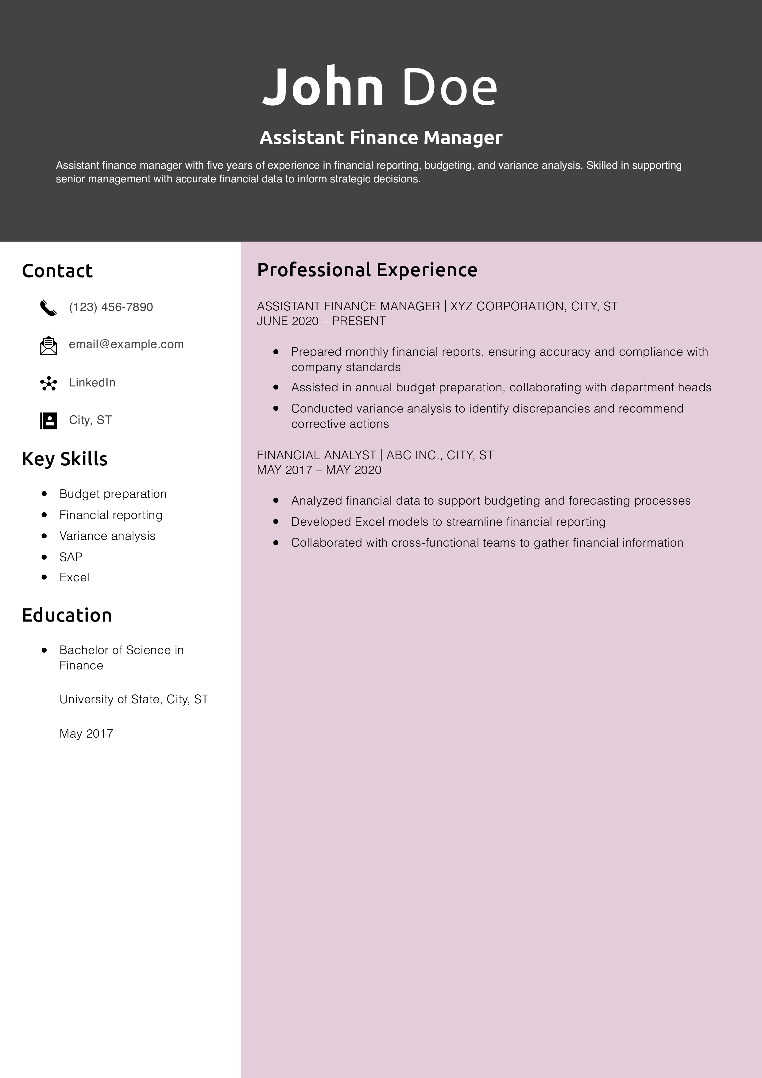 Assistant Finance Manager Resume Example