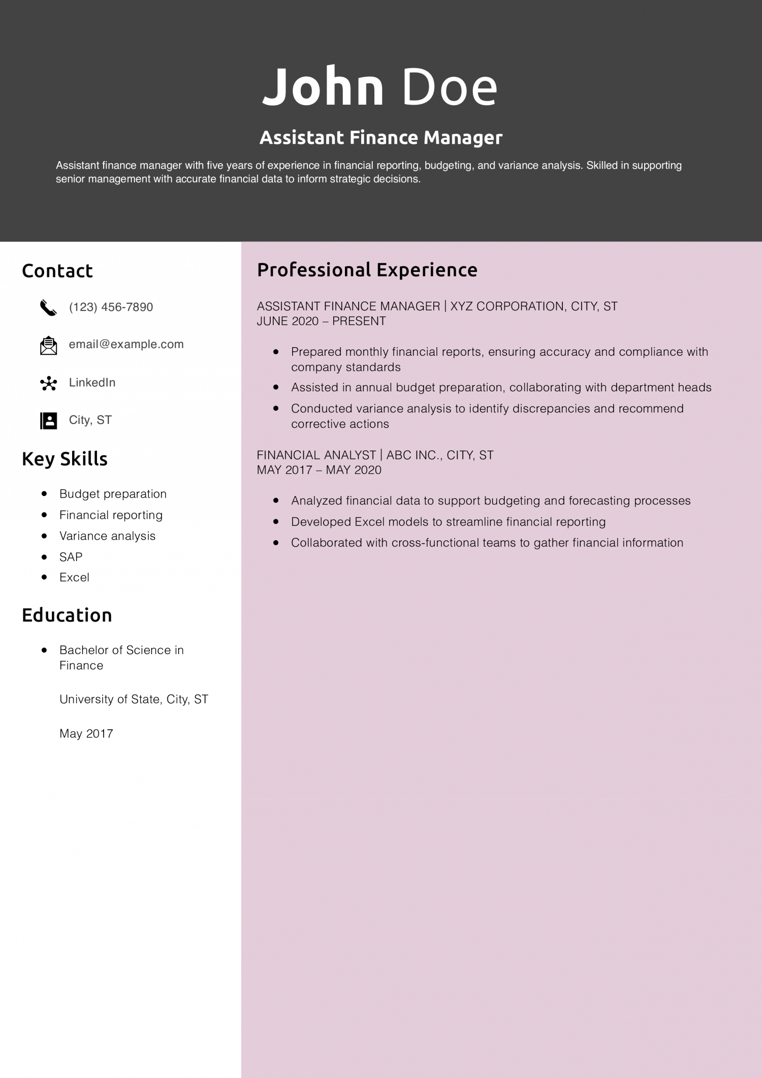 Assistant Finance Manager Resume Example