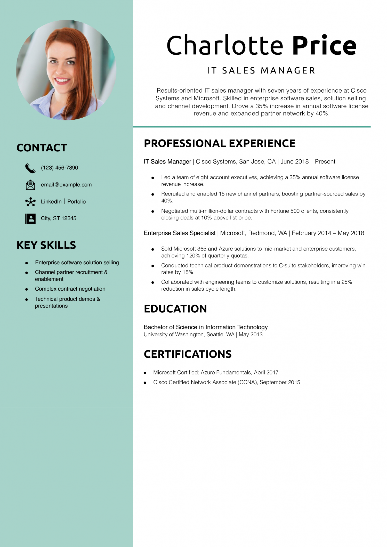 IT Sales Manager Resume Example
