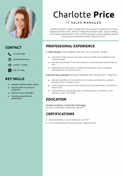 IT Sales Manager Resume Example