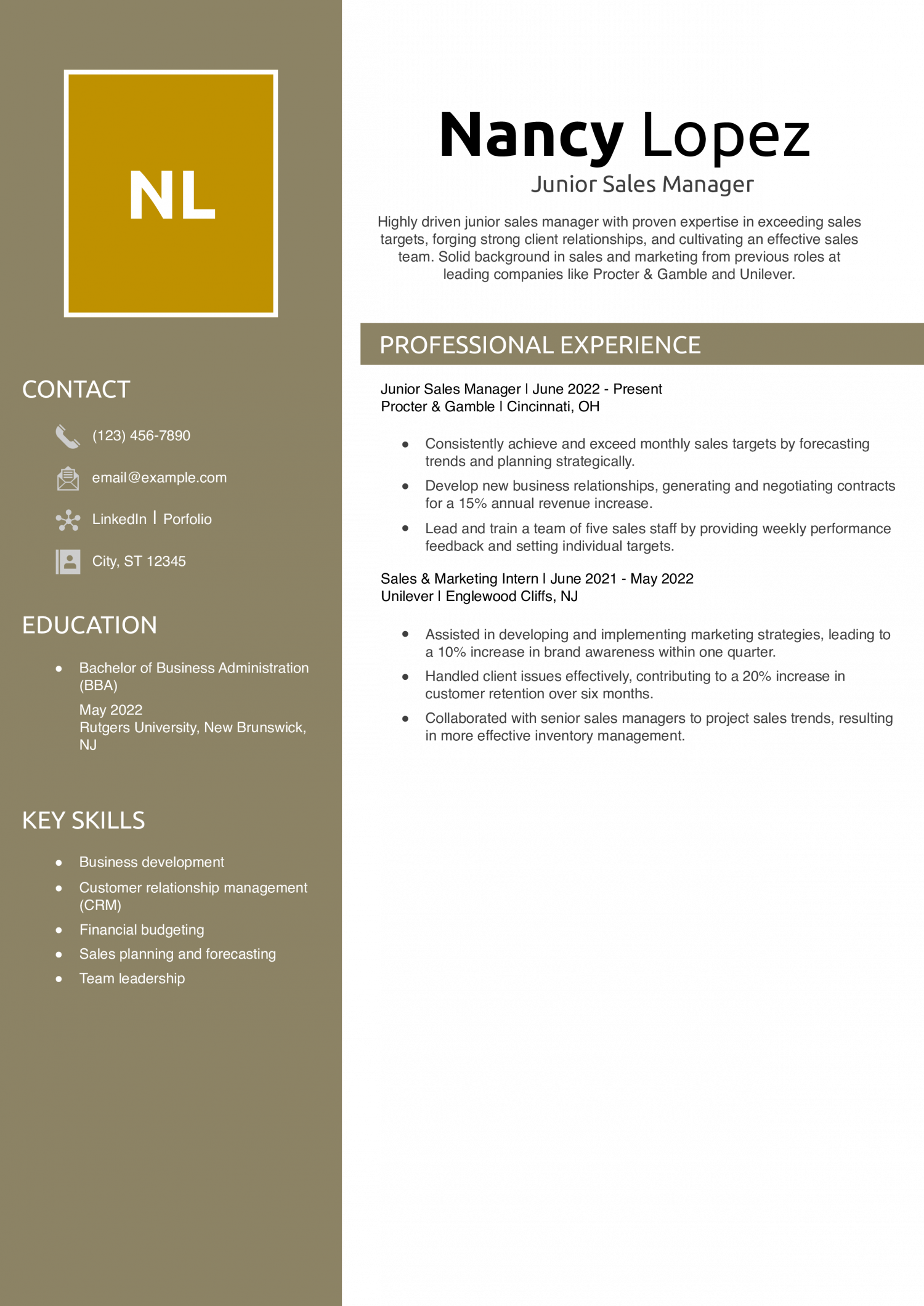Junior Sales Manager Resume Example