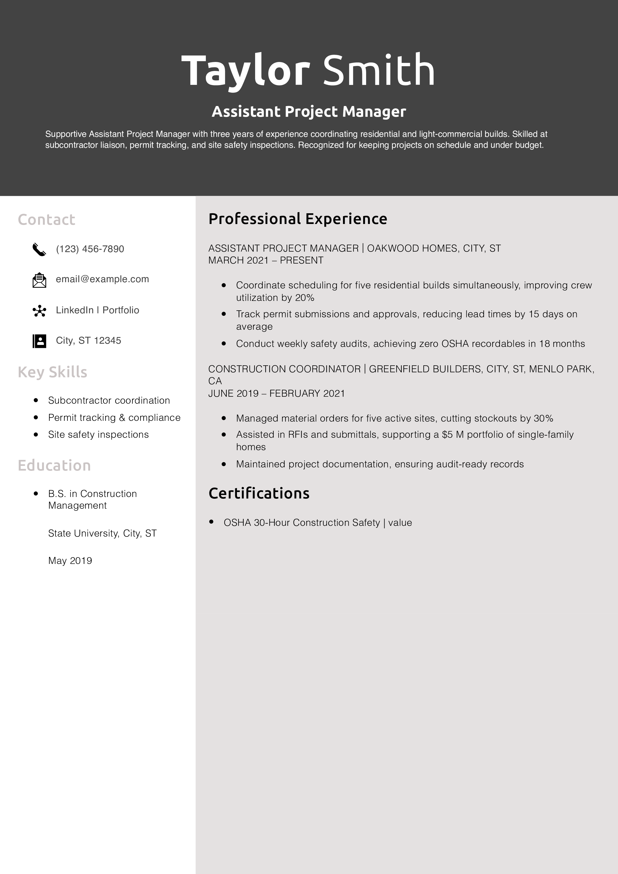 Assistant Project Manager Resume Example