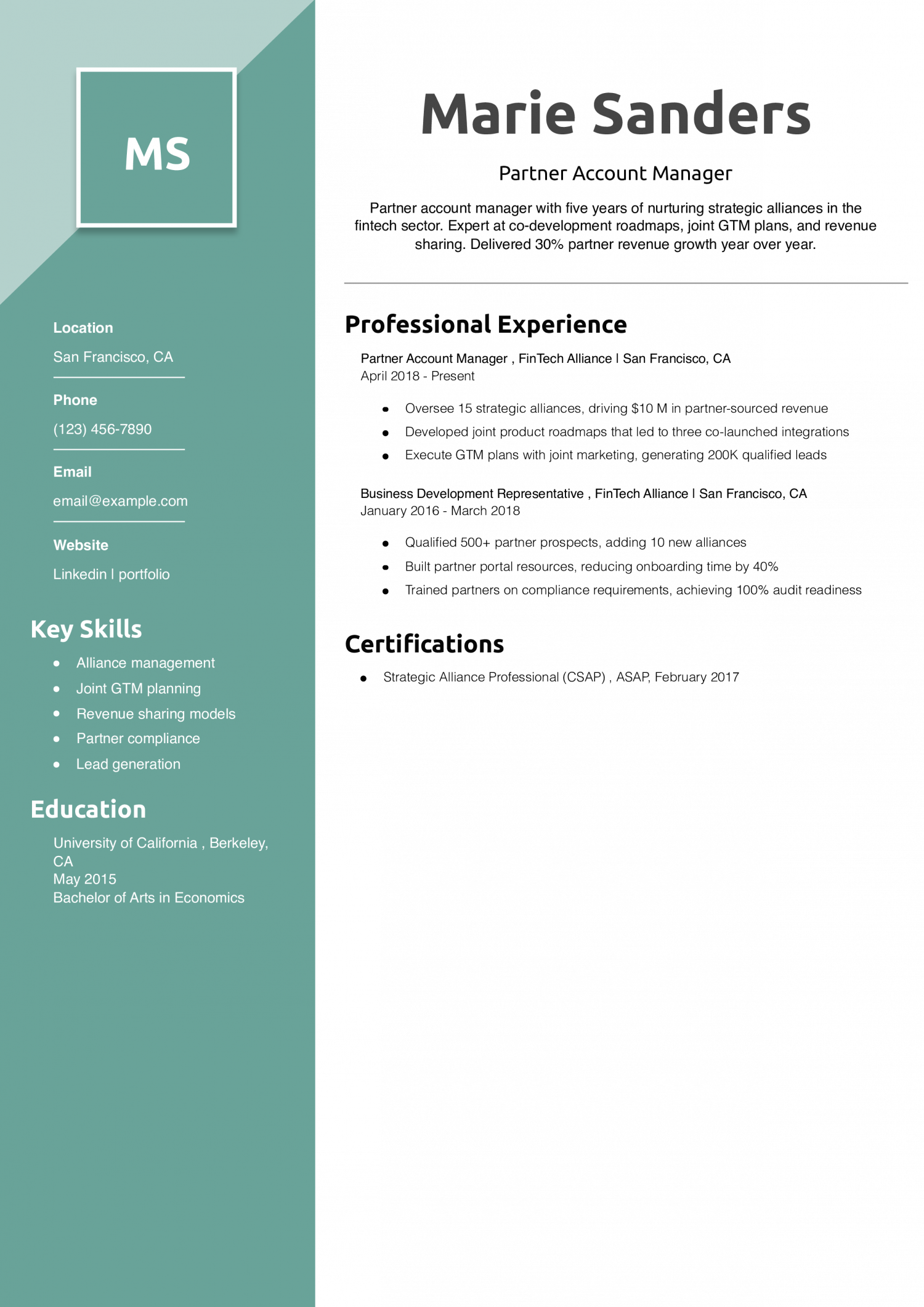 Partner Account Manager Resume Example