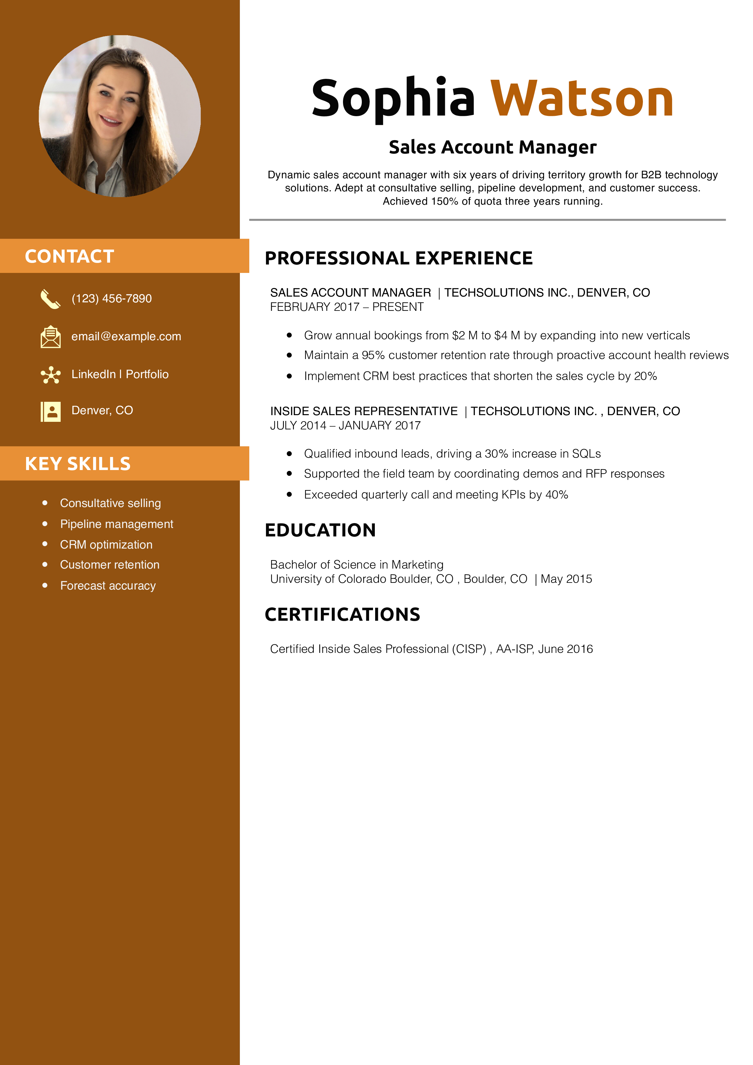 Sales Account Manager Resume Example