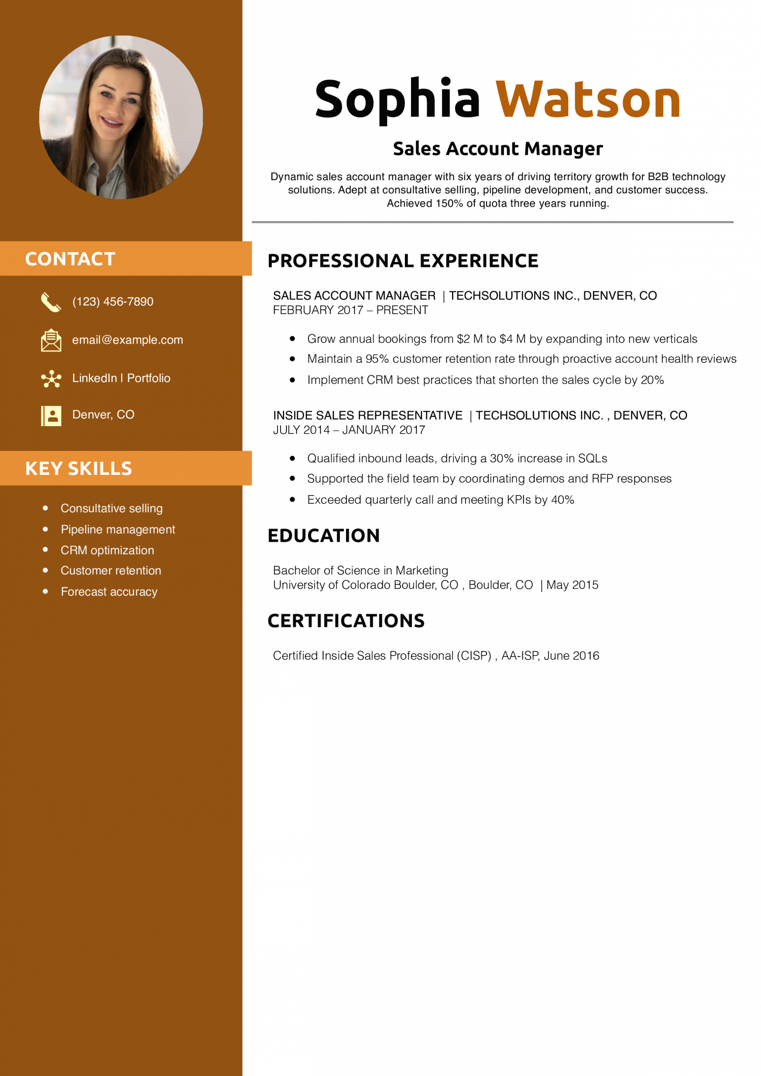 Sales Account Manager Resume Example