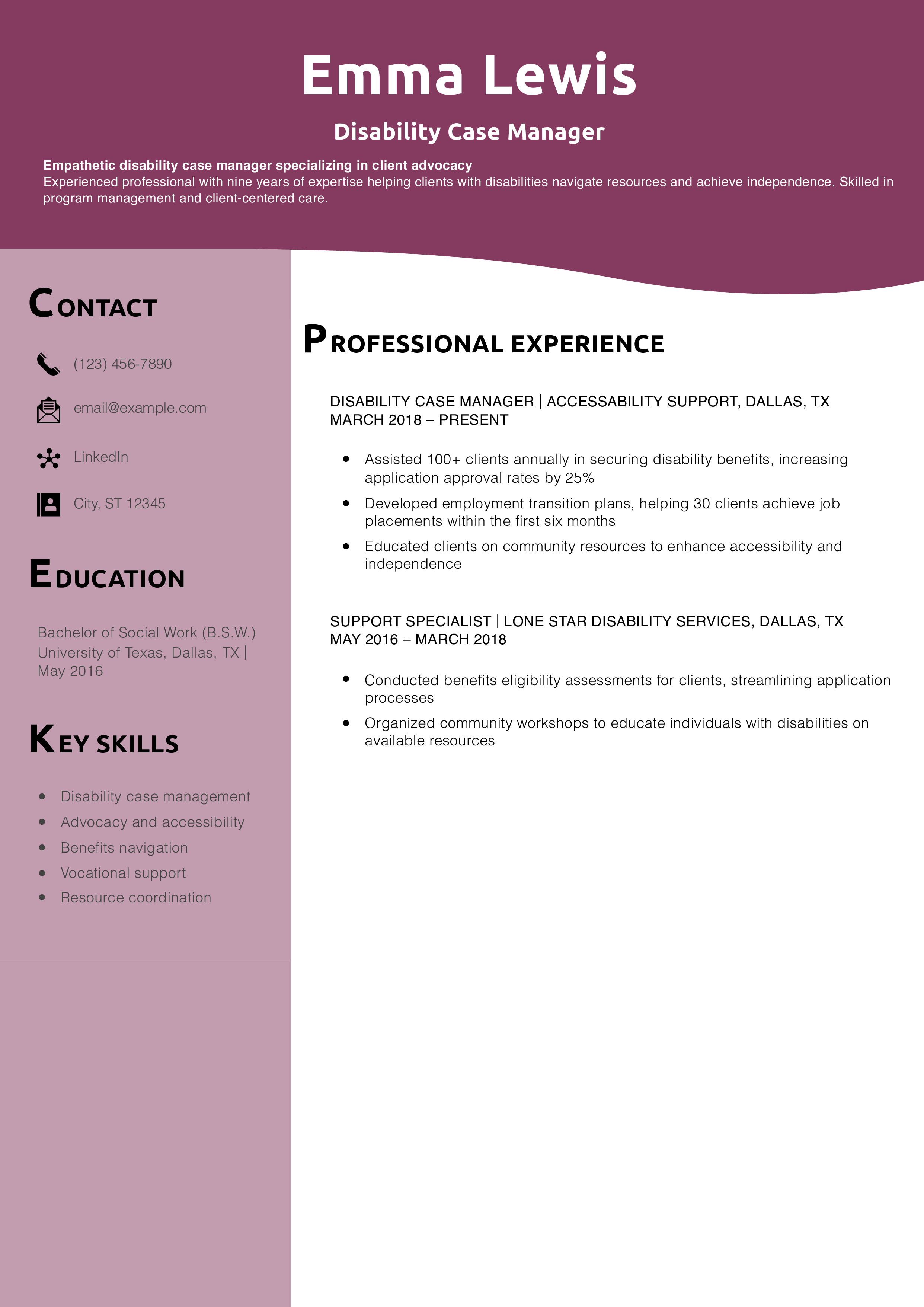 Disability Case Manager Resume Example