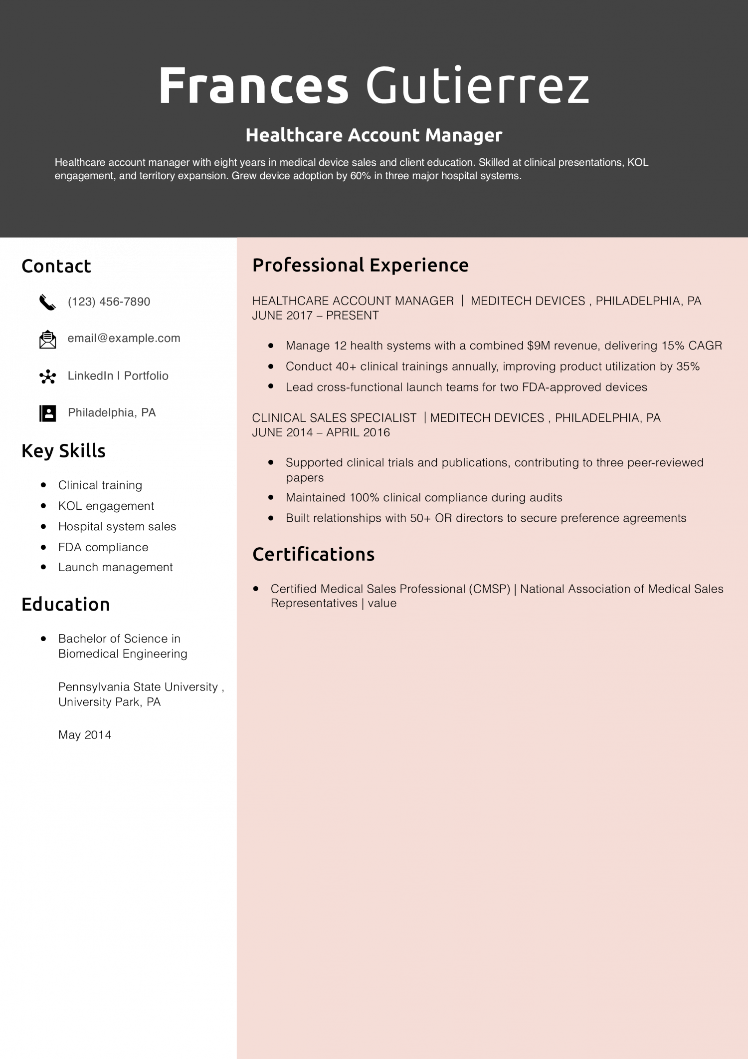  Healthcare Account Manager Resume Example