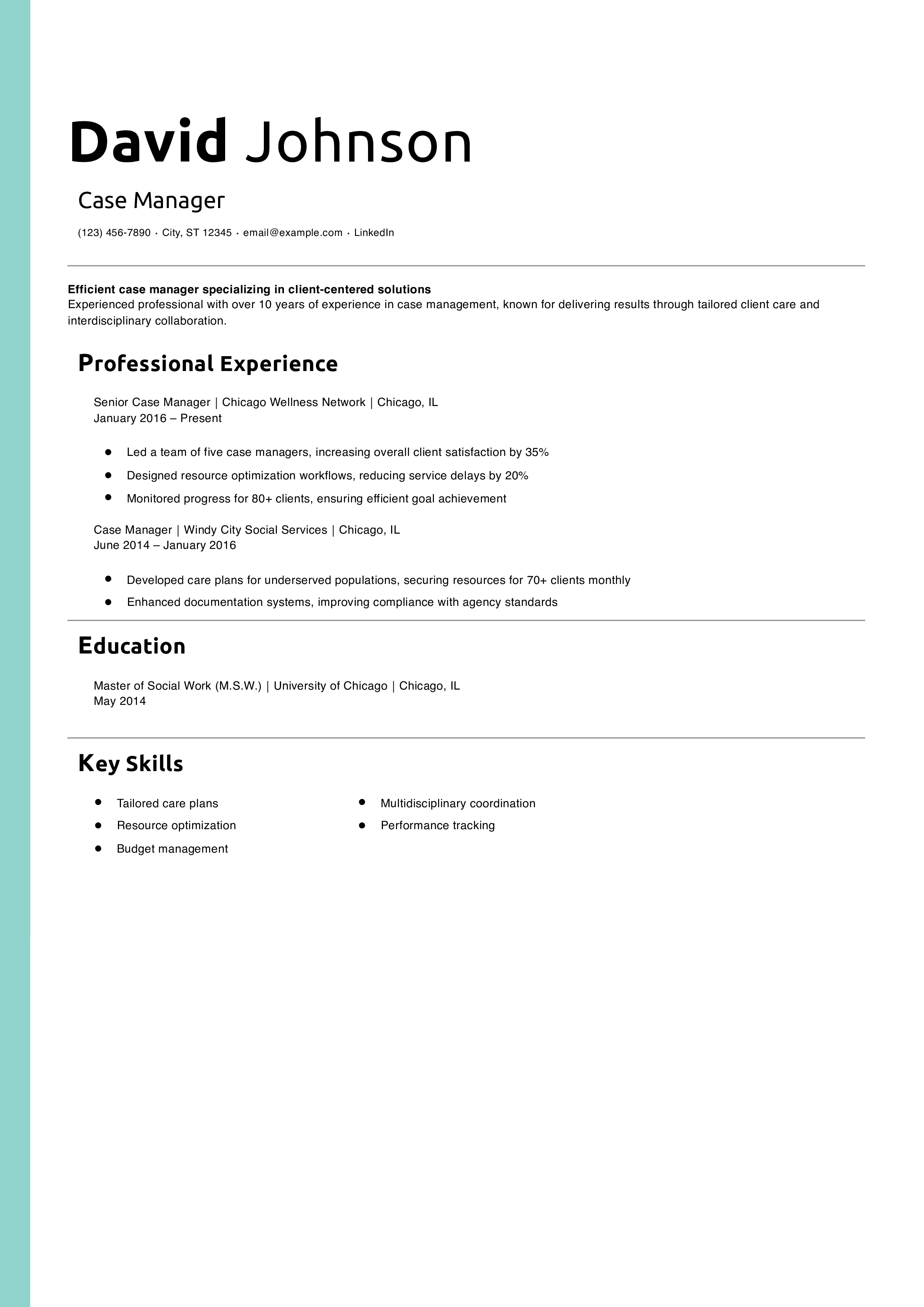 Case Manager Resume Example
