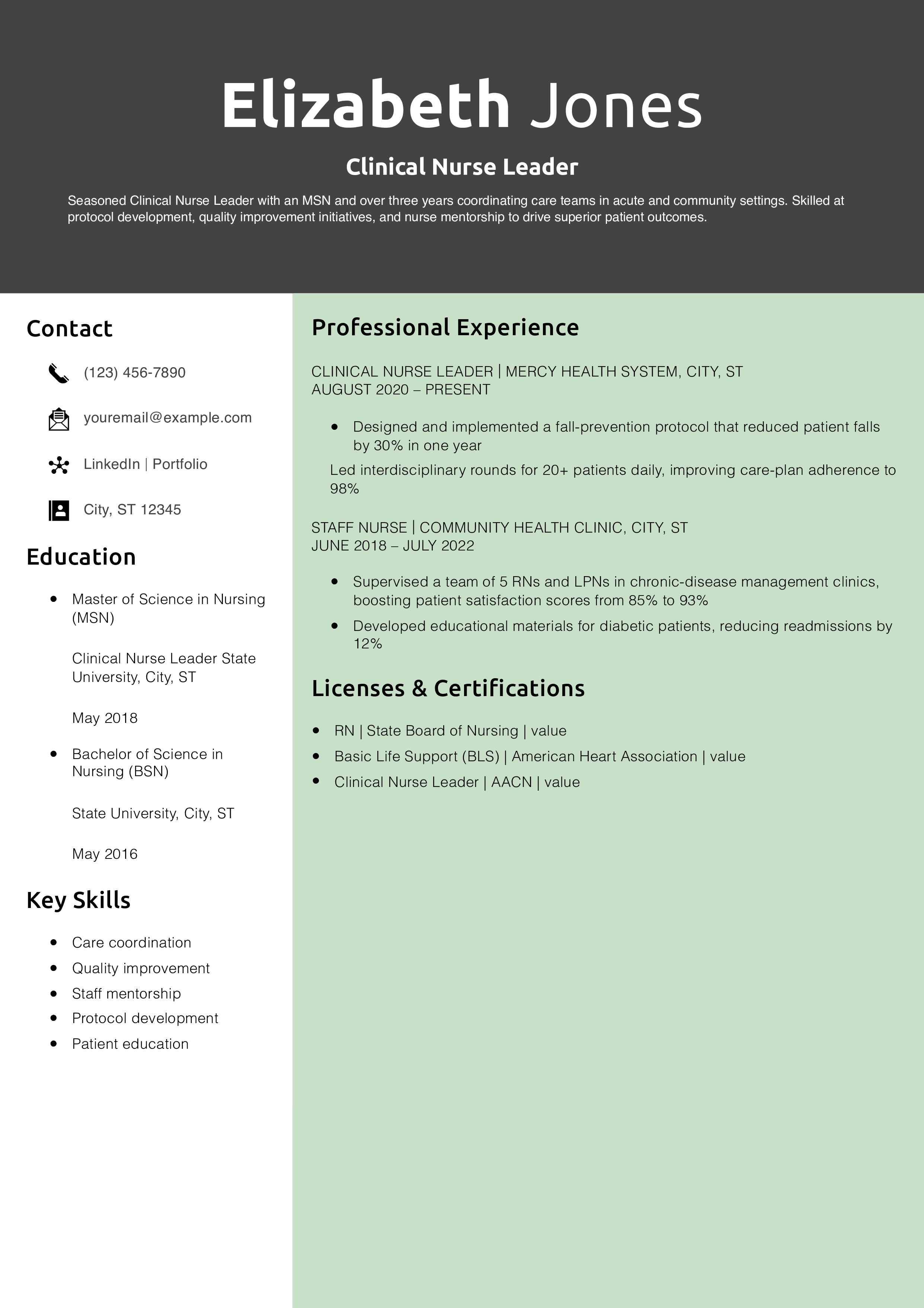 Clinical Nurse Leader Resume Example