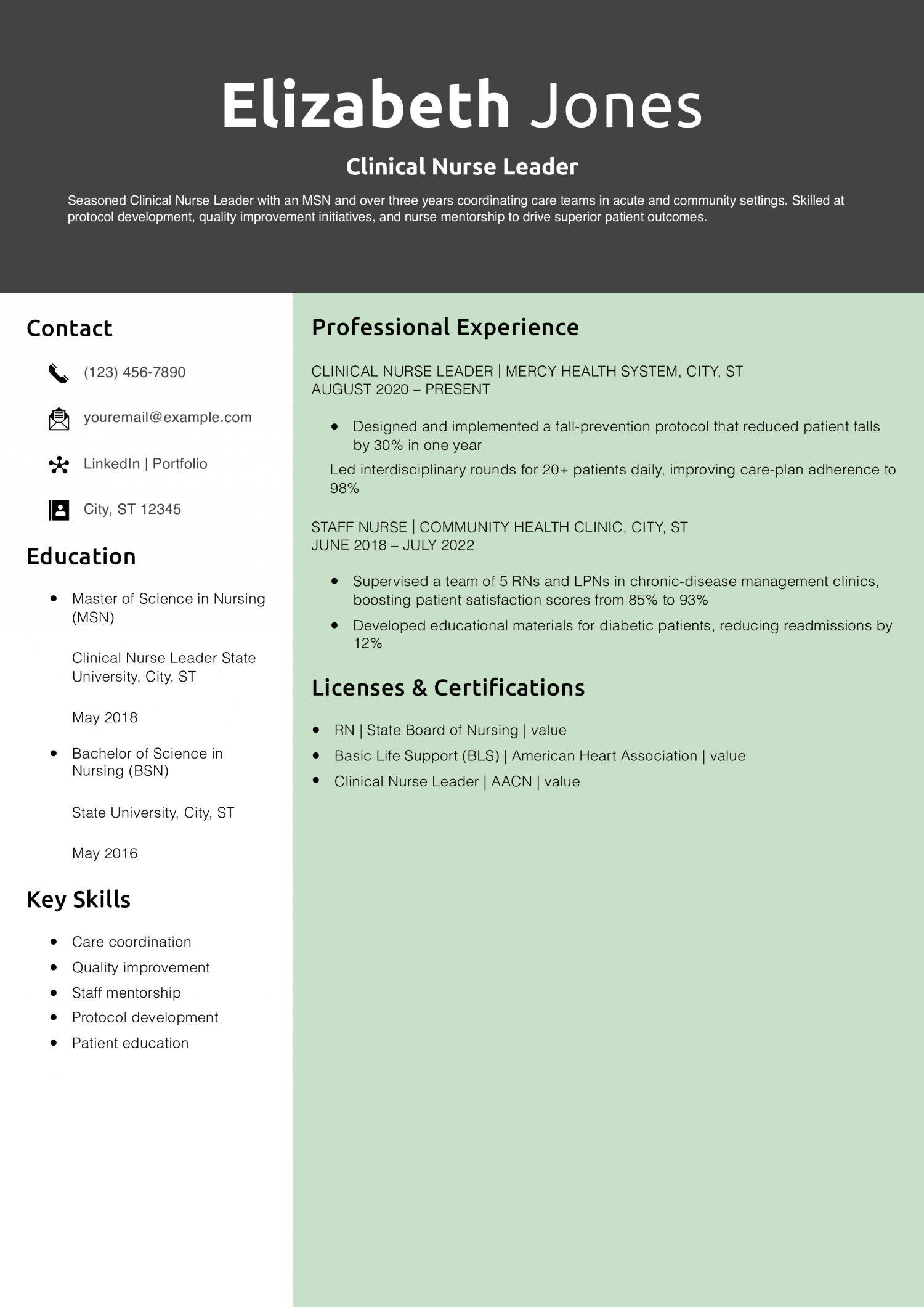 Clinical Nurse Leader Resume Example